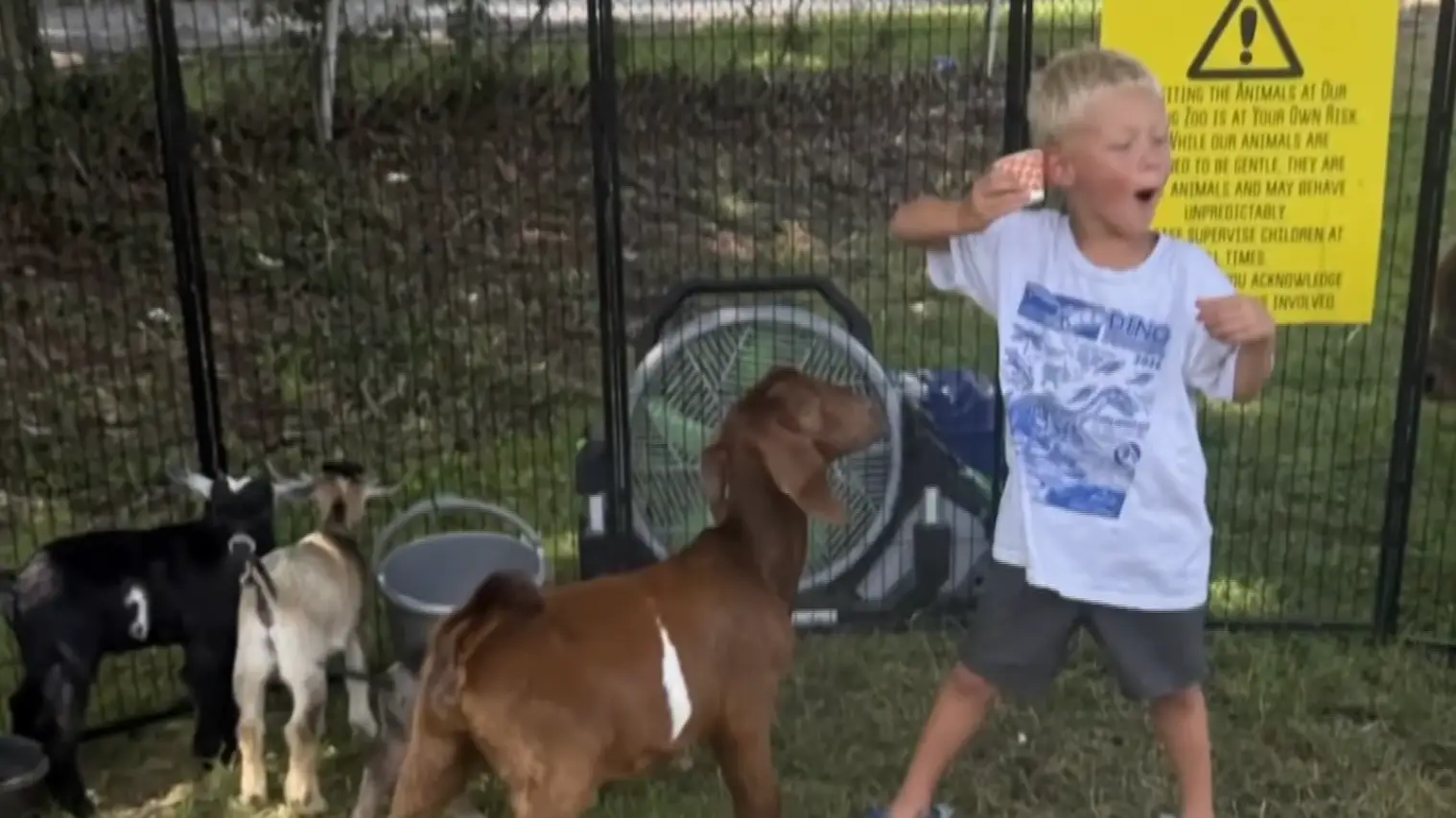 Mother of 4-year-old son gets phone call to tell her he has 'neglected tropical disease'