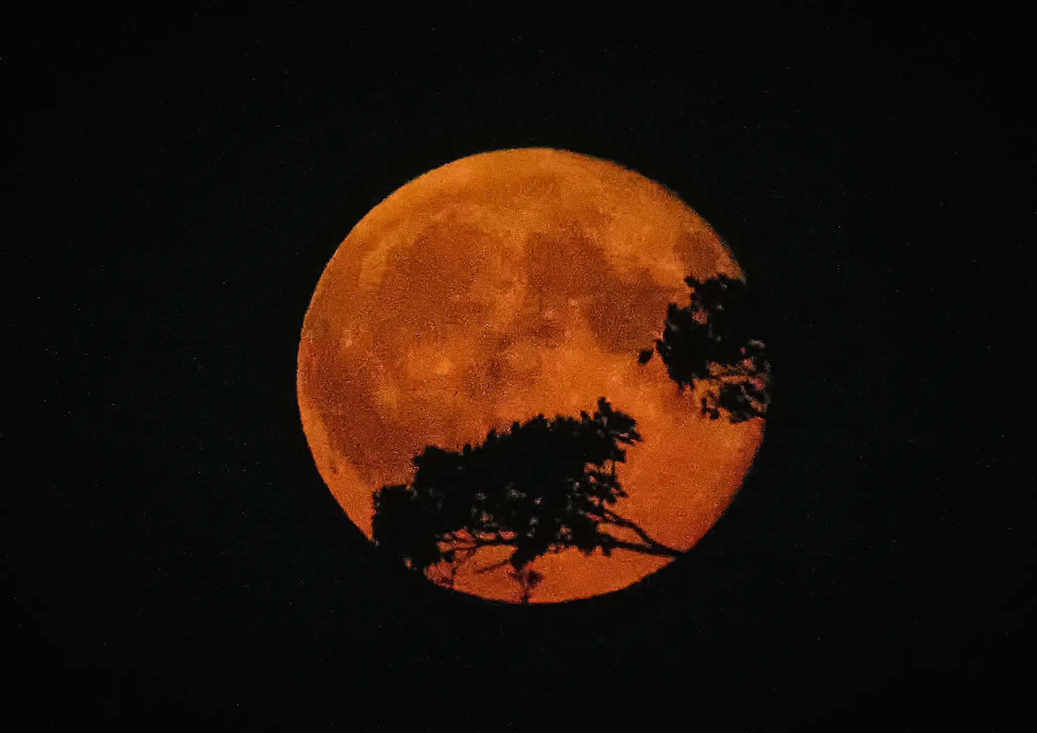 The Harvest Moon will rise this Saturday night (Getty Stock Images)