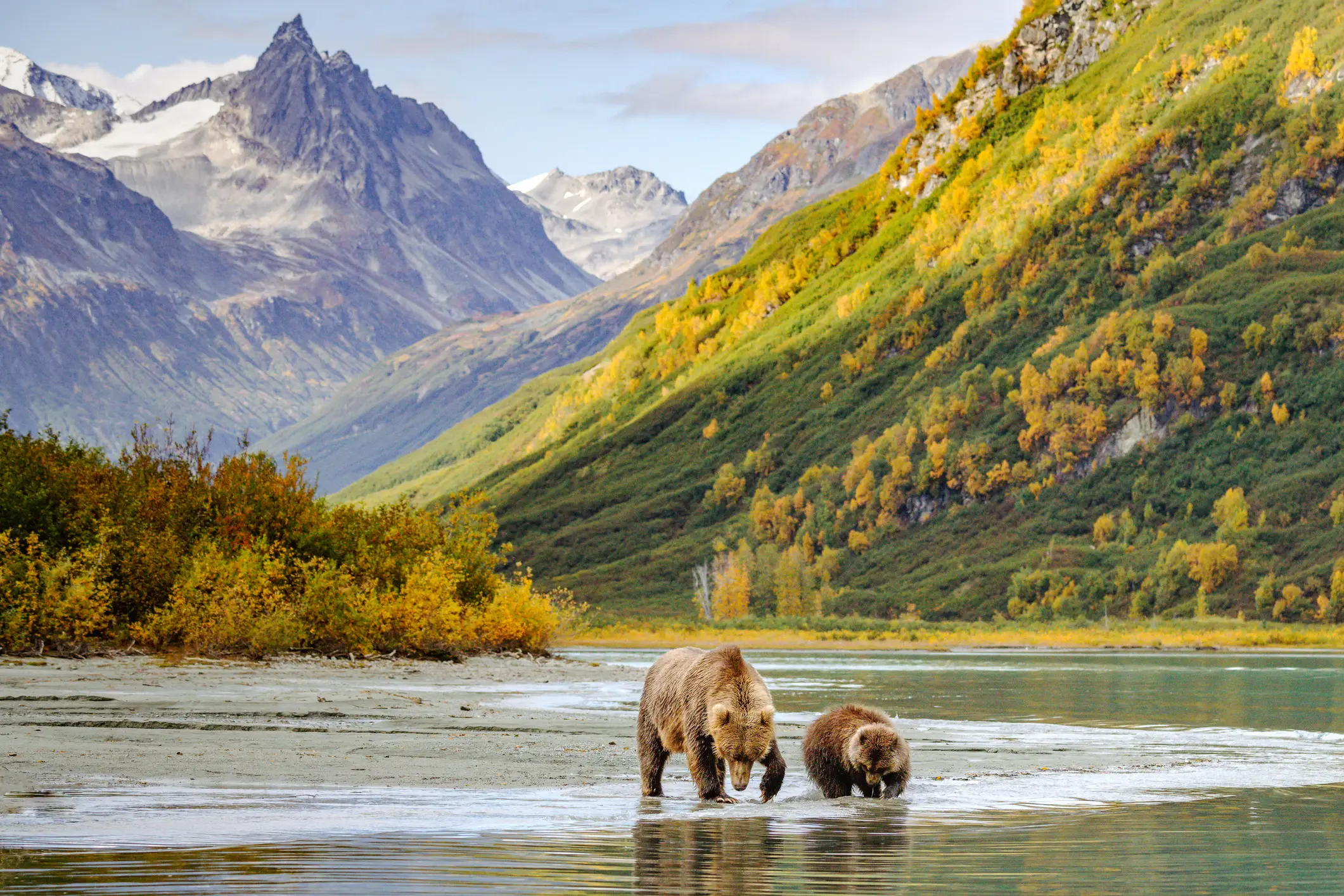 Finally, Alaska is thought to be the safest US state on the entire list (Getty Stock Image)