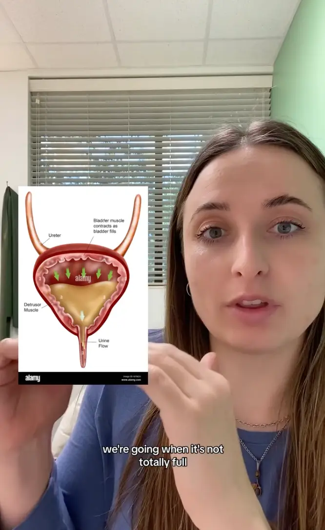 There a few times you can have a wee 'just in case'. (Instagram/@drpeckpelvicpt)