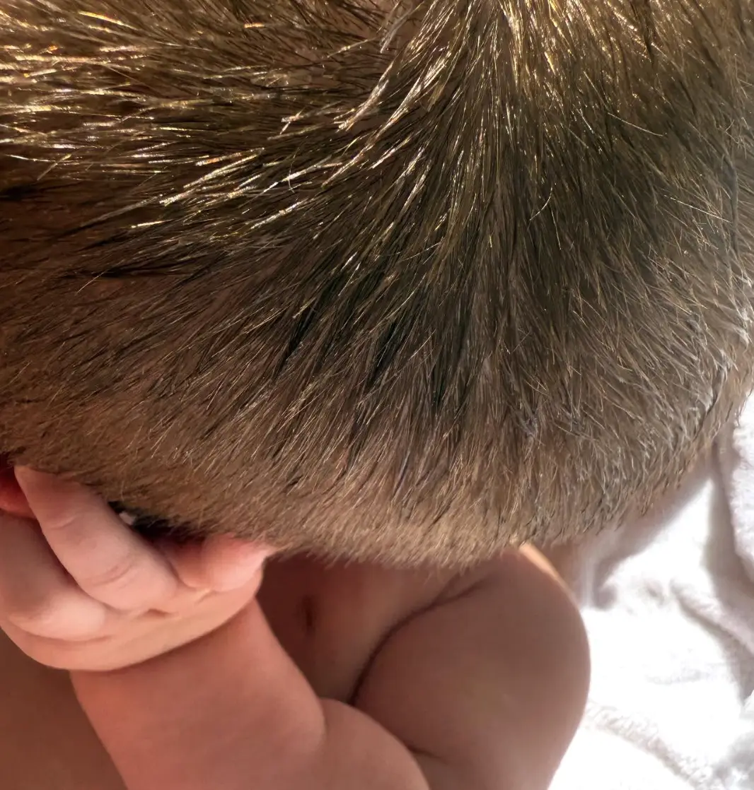 Bieber shared a snap of his baby (instagram/justinbieber)