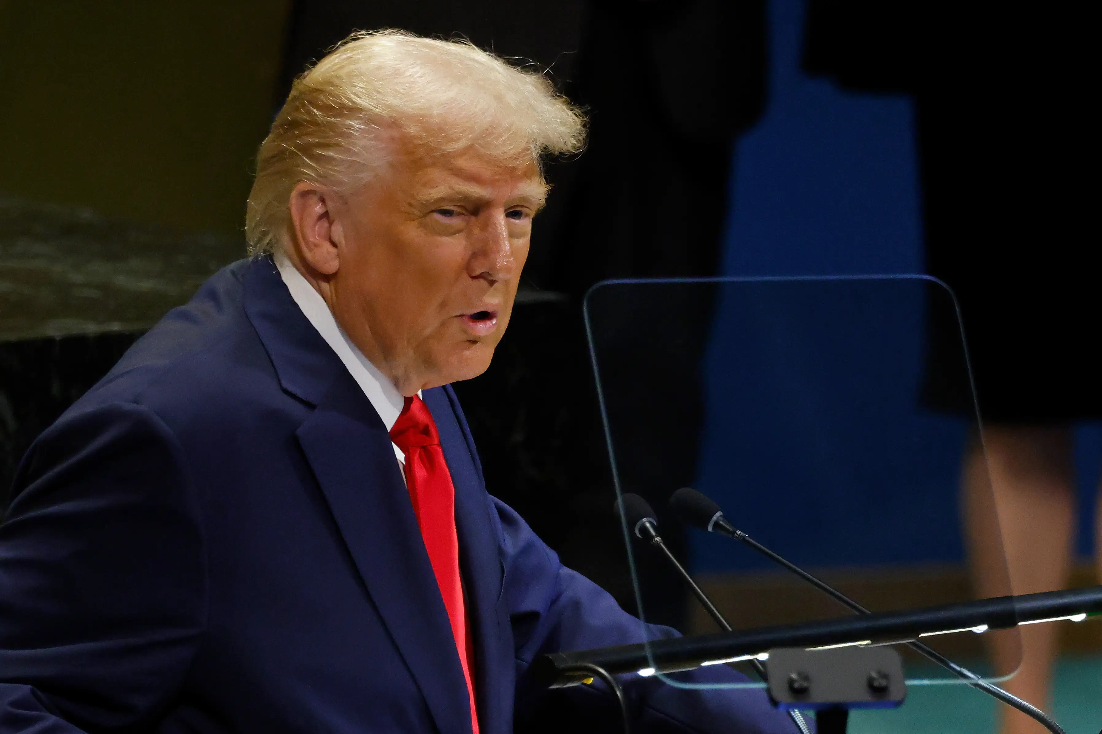 Donald Trump attended the annual United Nations General Assembly today (Taylor Hill/Getty Images)