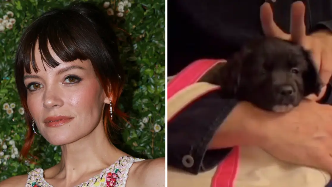 Ammar Rowaid/Patrick McMullan via Getty Images/ Instagram/@its_marys_world