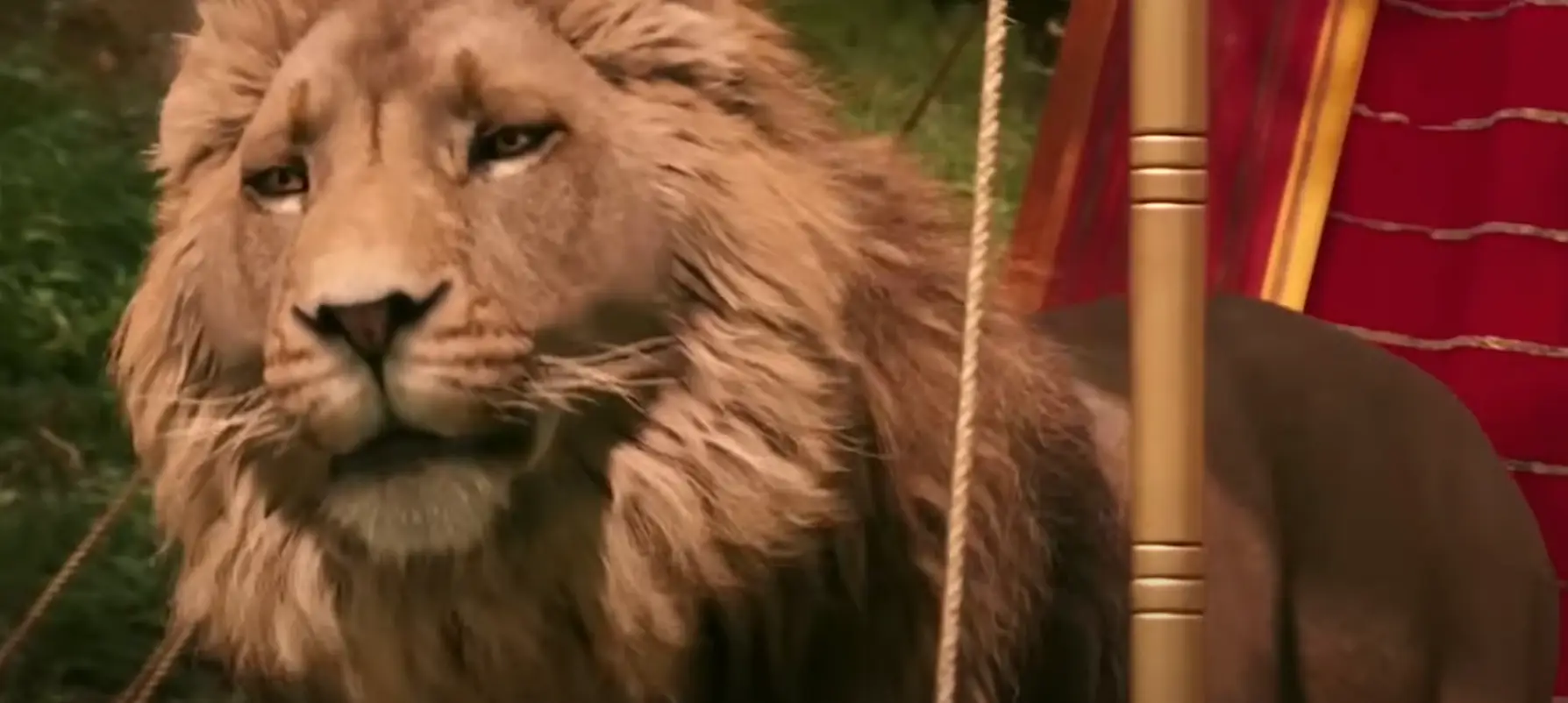 Aslan is traditionally portrayed as male (The Walt Disney Company)