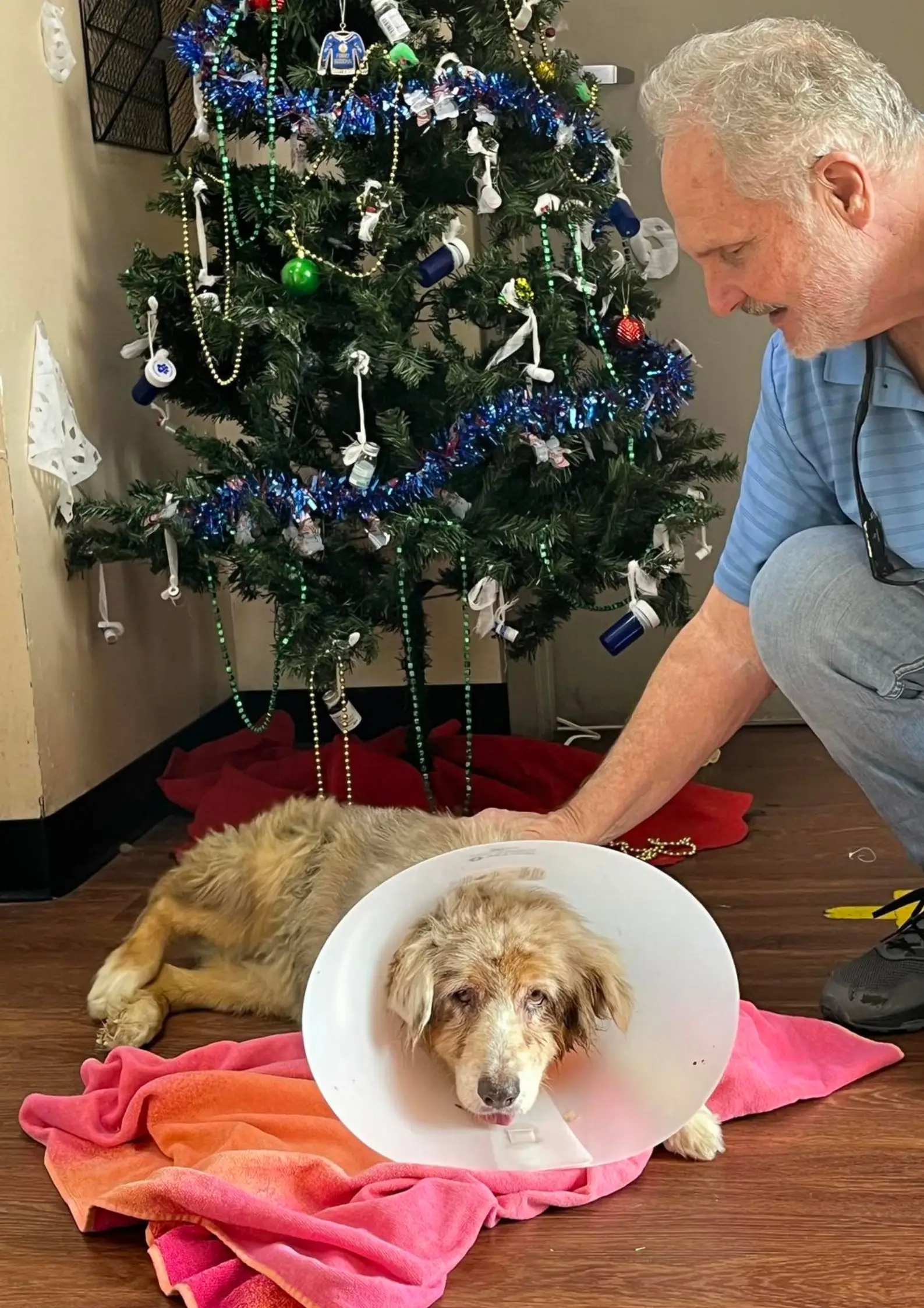 Jazzy has been brought back to Texas to be reunited with her family.