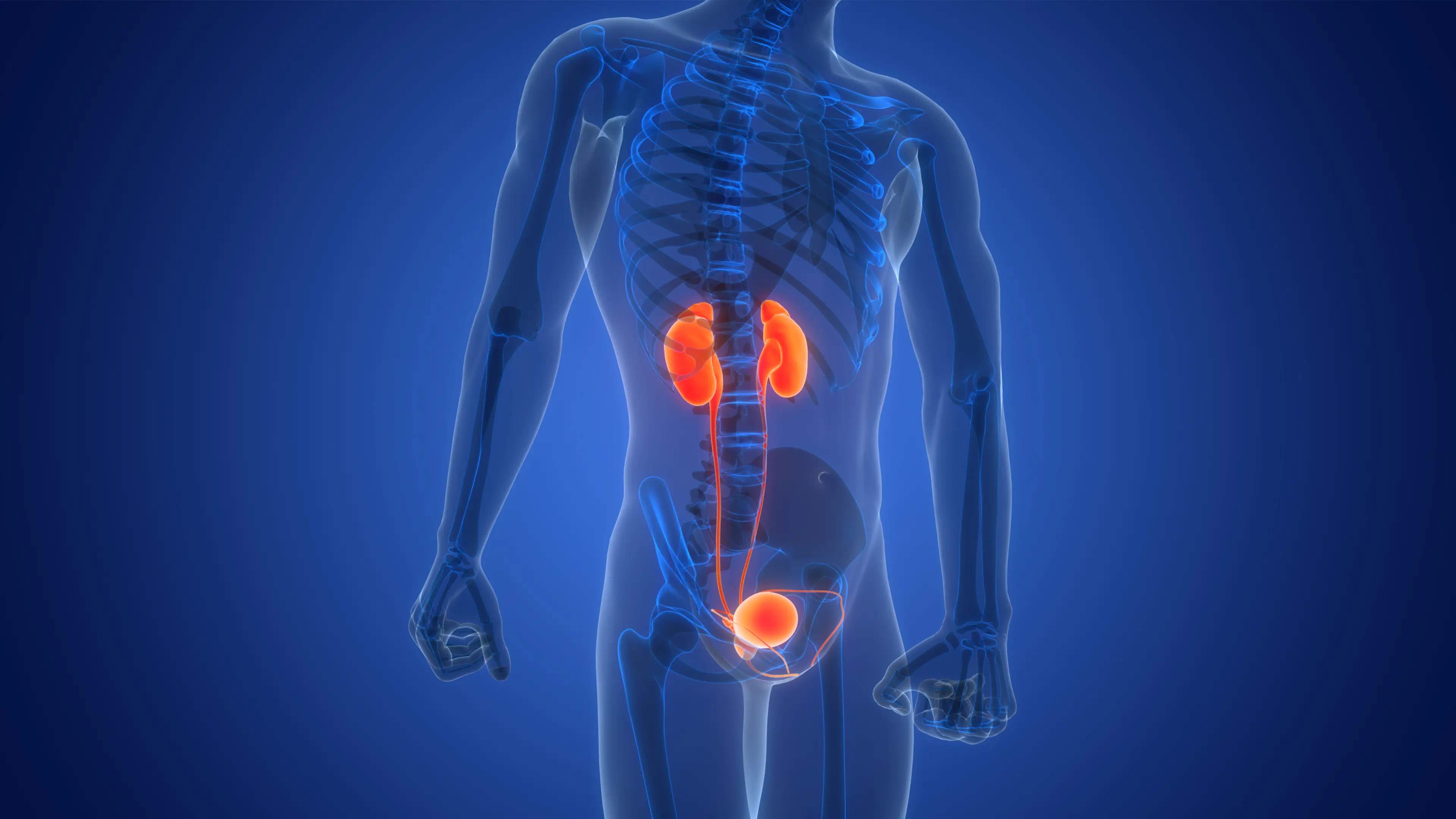 There are three early warning signs to be aware of (Getty Stock Image)