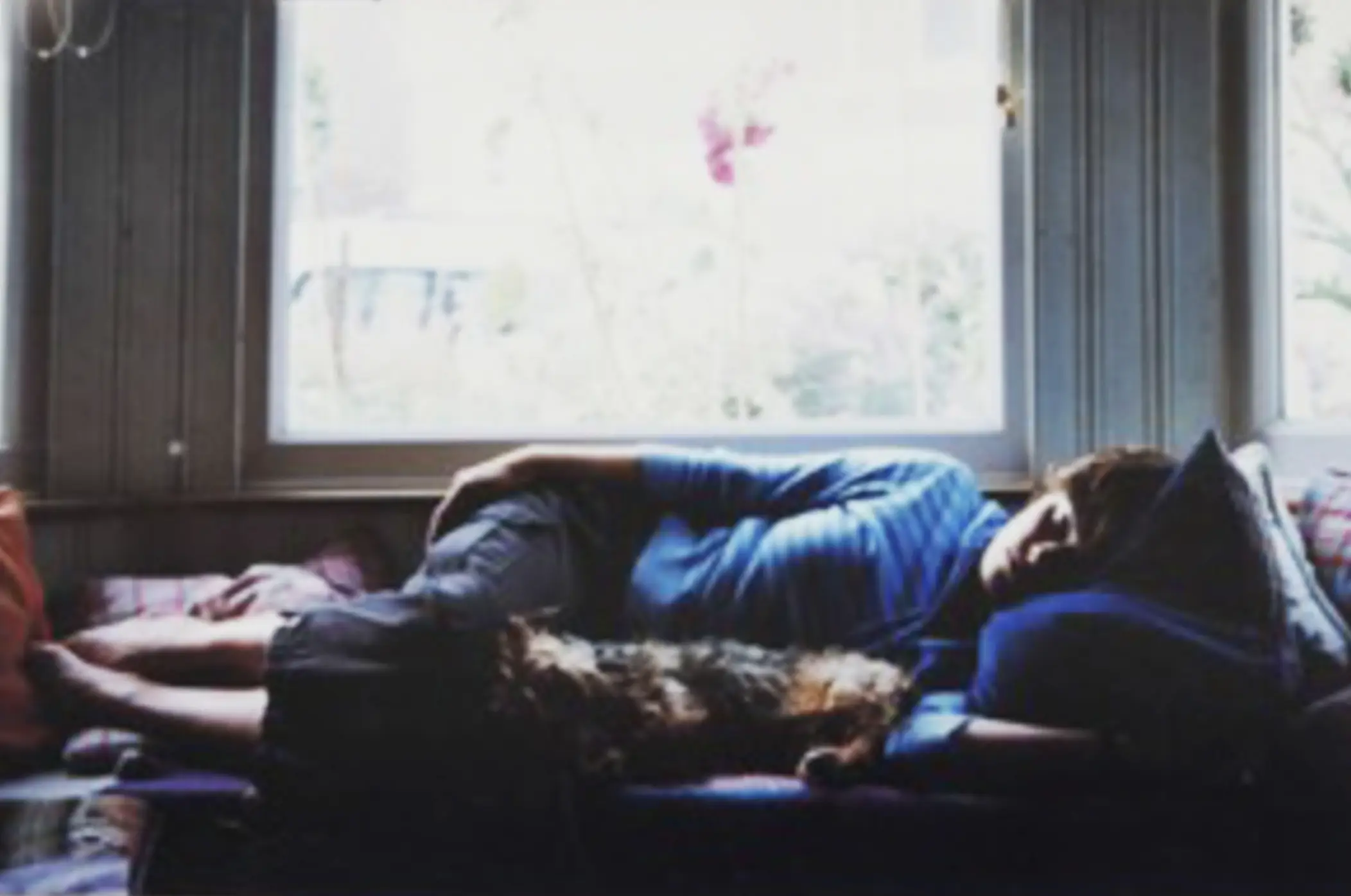 Dunbar was left bedbound and unable to walk from her arthritis.