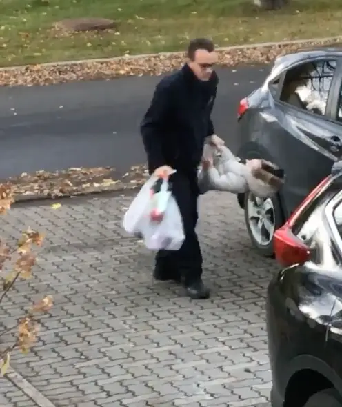 The dad wasted no time in picking up his daughter.