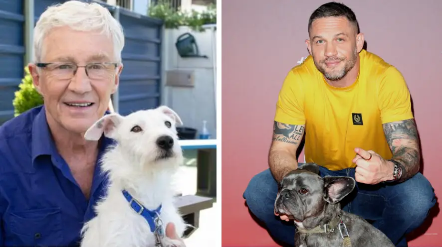 For the Love Of Dogs viewers call for Tom Hardy to replace late Paul O'Grady