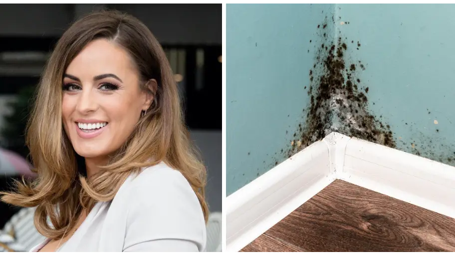 Young woman diagnosed with dementia after home infested with mould