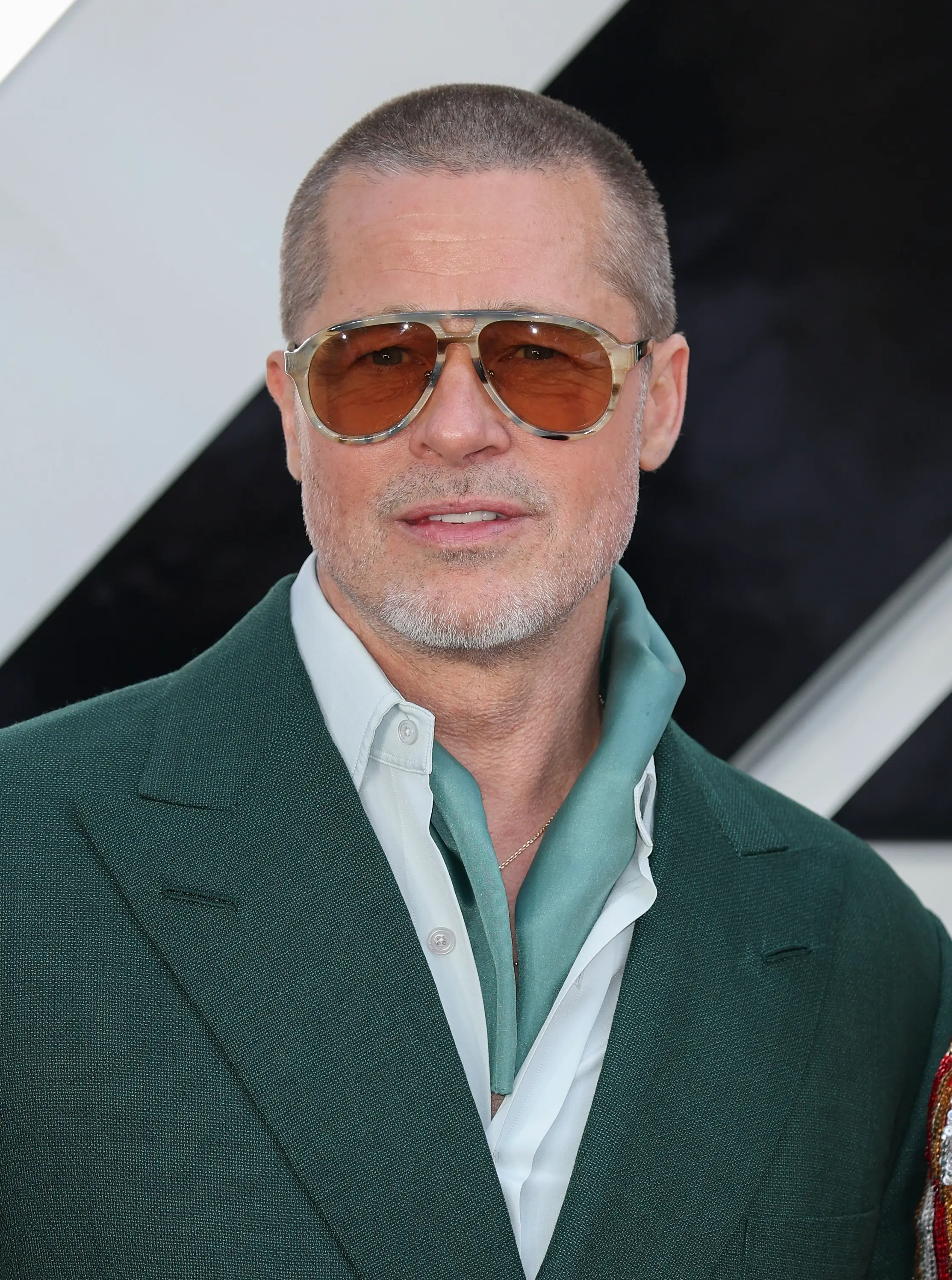Pitt described his low mental health as being 'one little period' (Mike Marsland/WireImage)