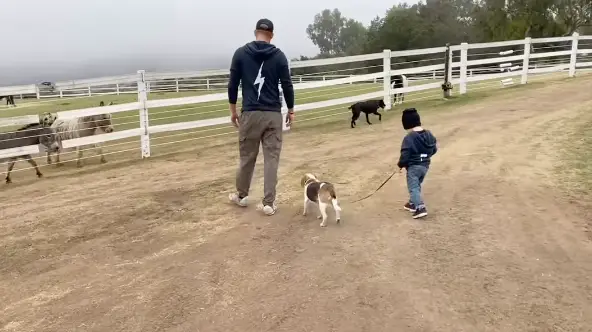 Prince Archie featured in the video (Instagram/@meghan)