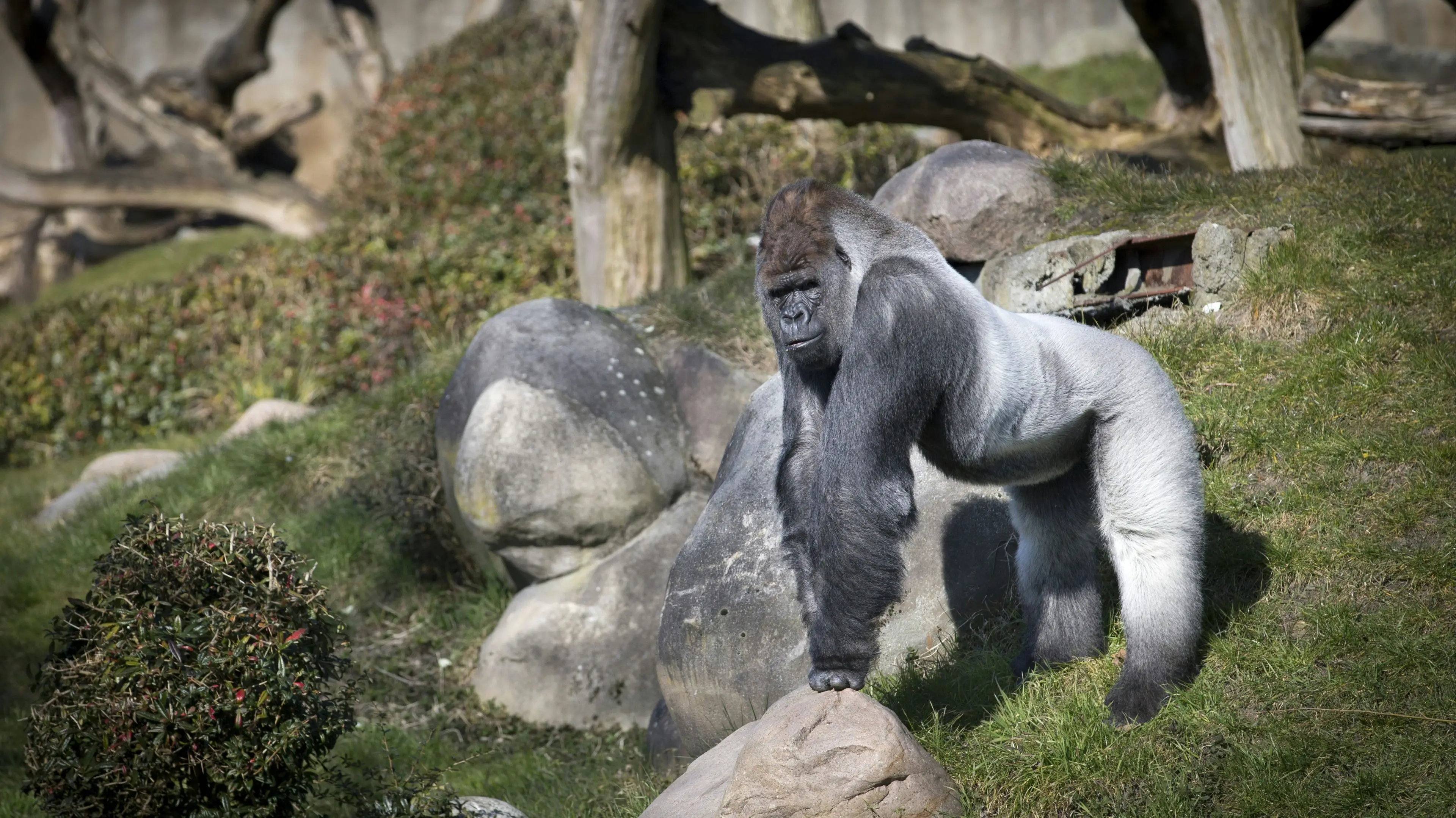 JERRY LAMPEN/AFP via Getty Images