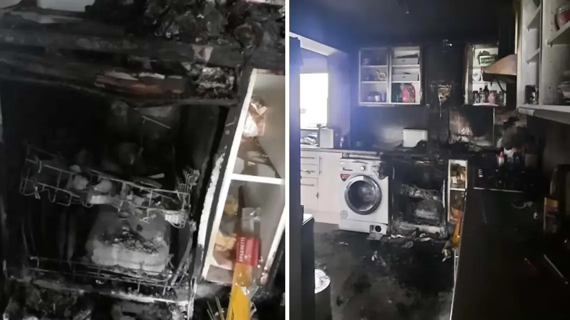 Family of four left homeless and mourning their pets after dishwasher fire