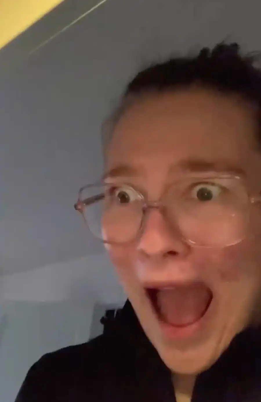 The TikToker was horrified after seeing the bugs.