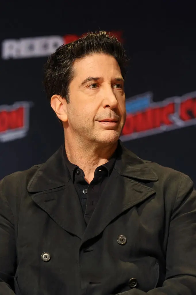 Schwimmer pleaded with X owner Elon Musk (Marleen Moise / Stringer / Getty)