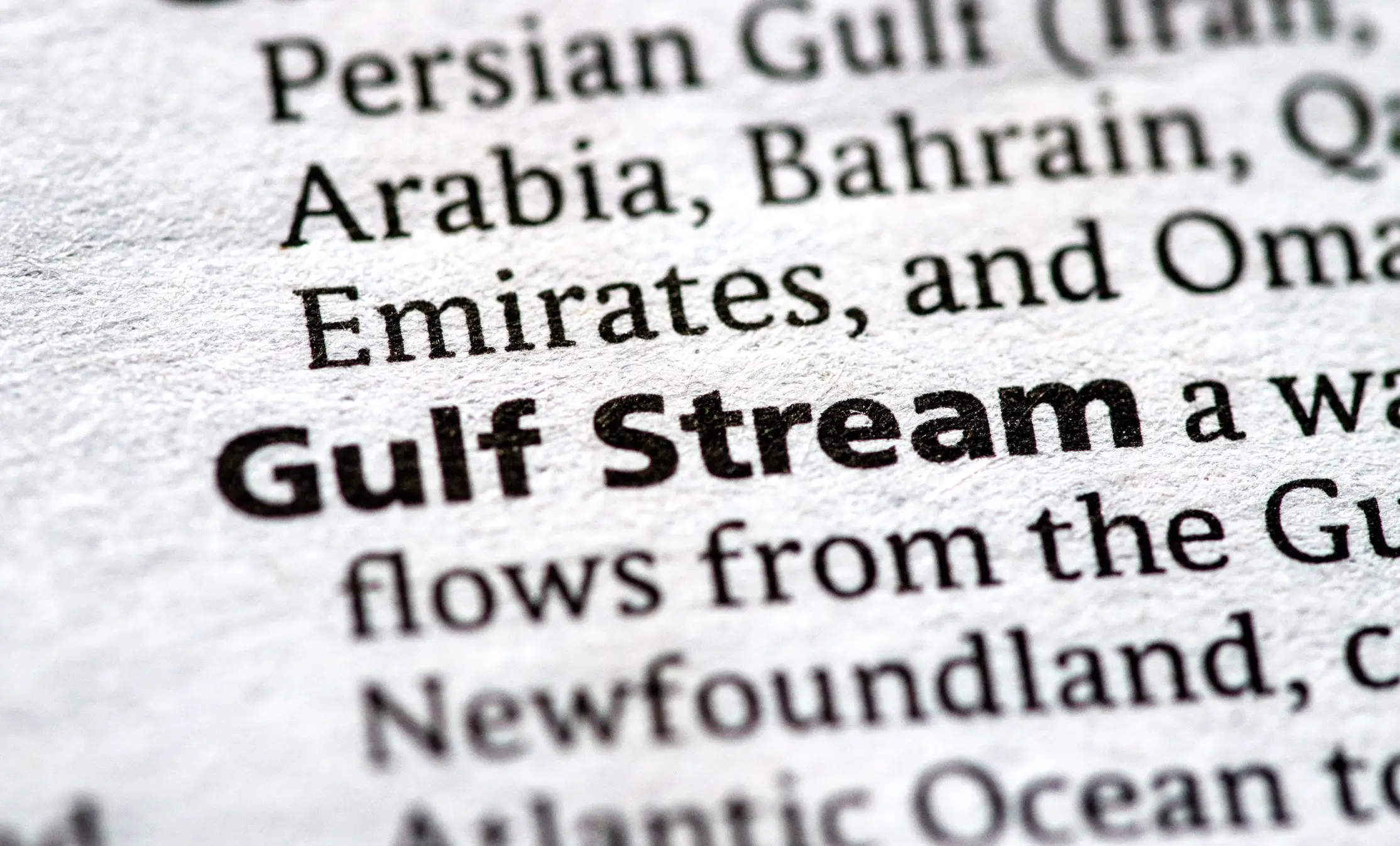 Salomé also predicted a partial collapse of the Gulf Stream (Frank Brennan / Getty Images)