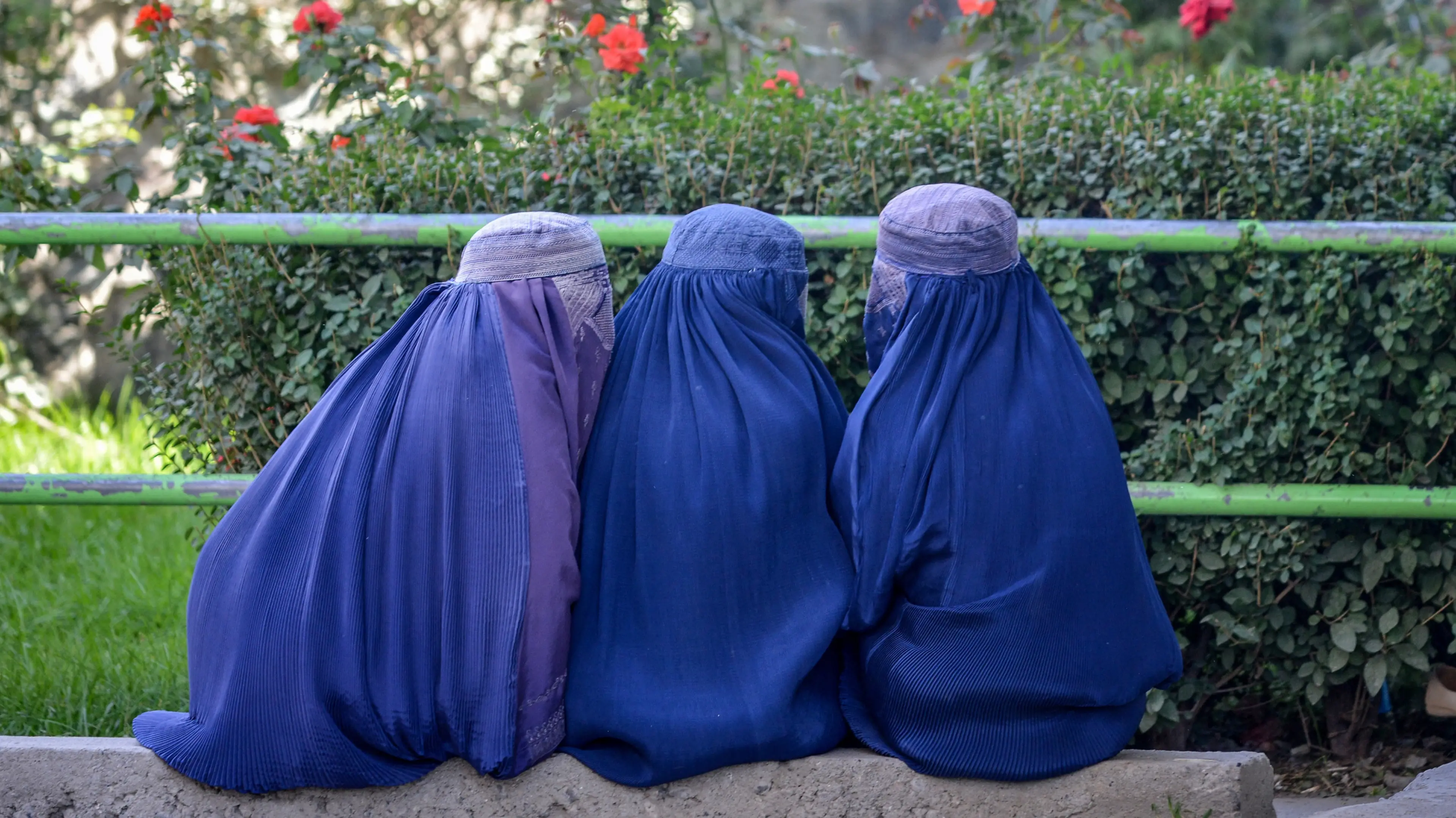 OMER ABRAR/AFP via Getty Images