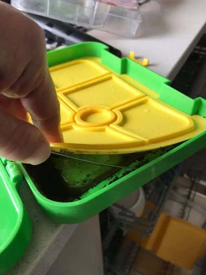 This lunchbox had been used for a year when it ended up looking like this.