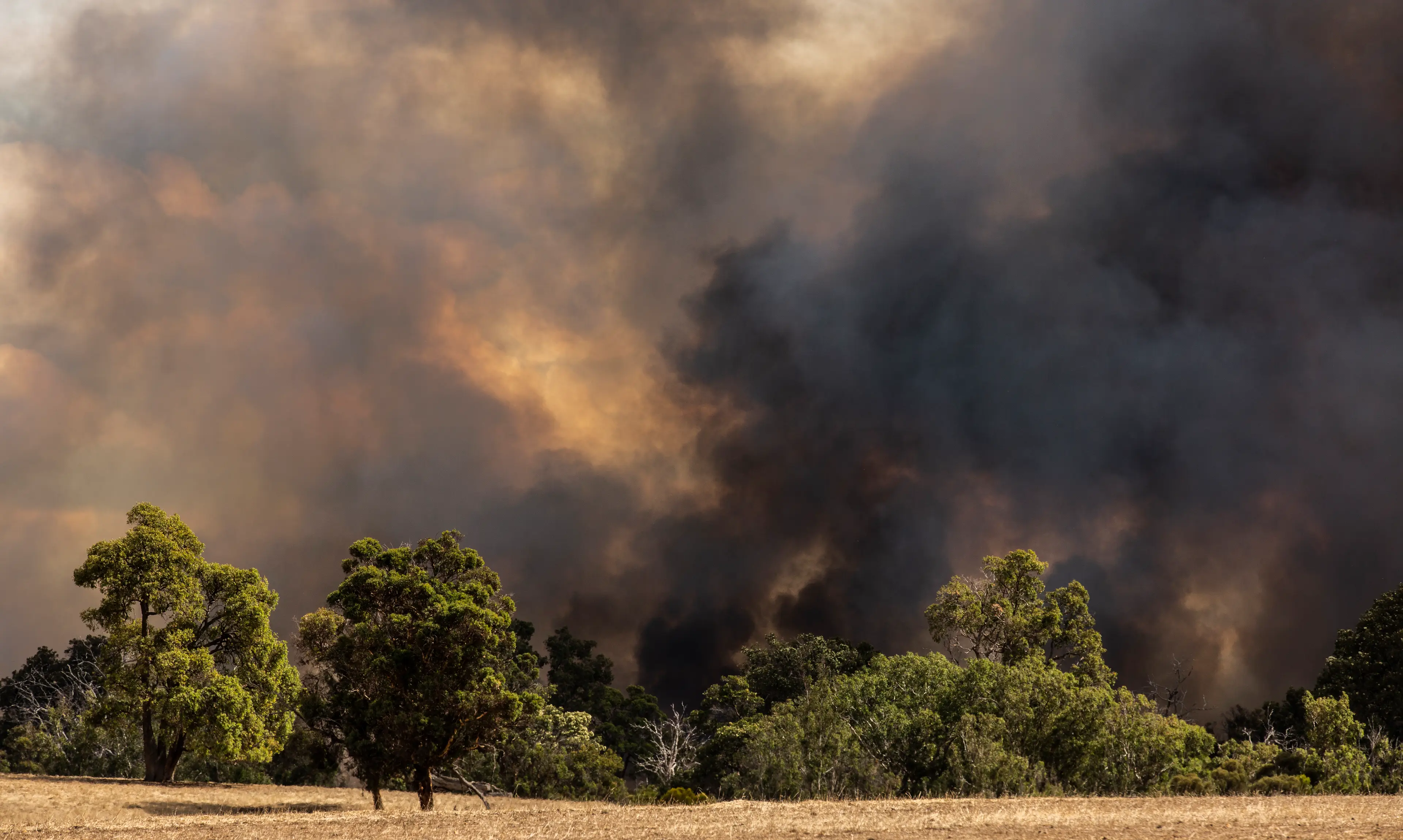 Bushfires and wildfires may become more prevalent (Getty Stock Image)