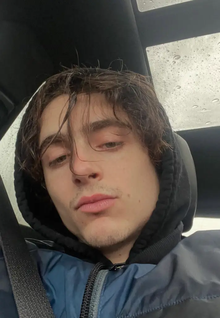 The actor shared a series of photos which seemed to somewhat focus on his hair (Instagram/@timotheechalamet)