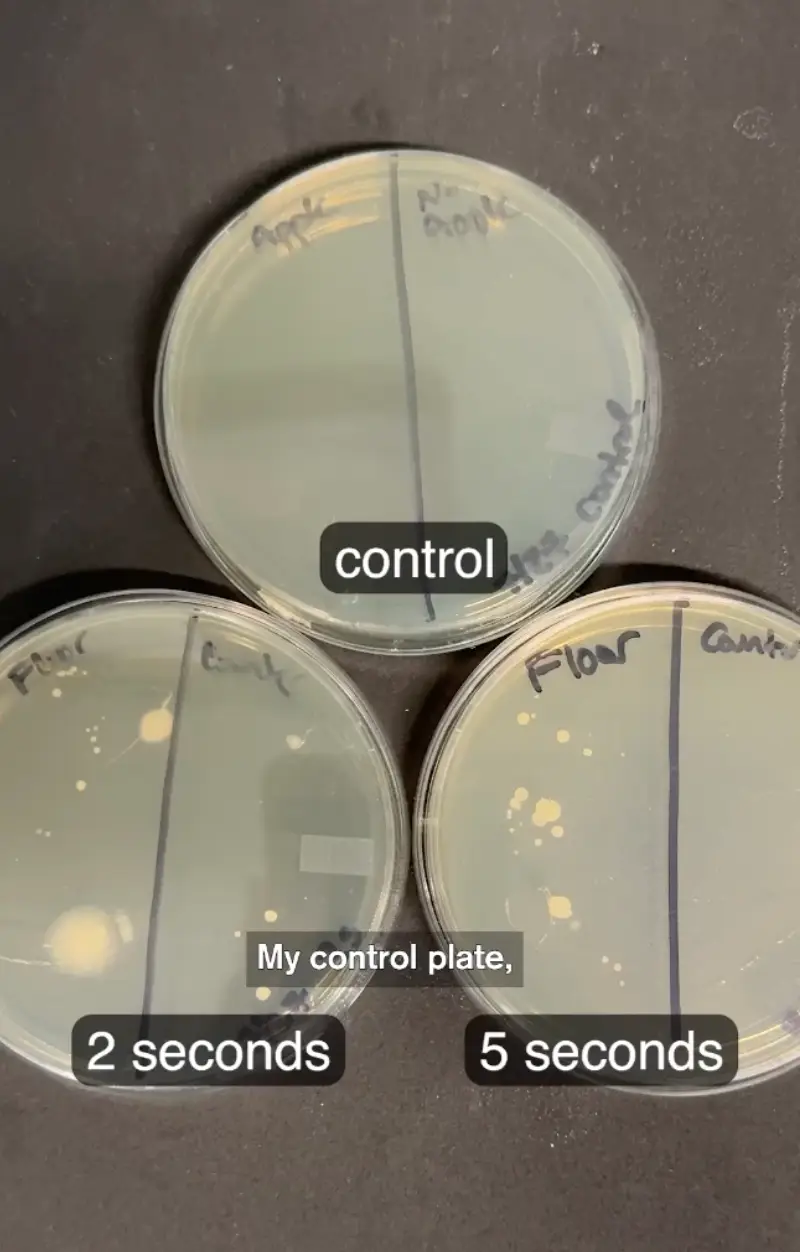 The extent of the bacteria grown between after two seconds, and five seconds, were hardly any different (Instagram/@museumofscience/@alex.dainis)