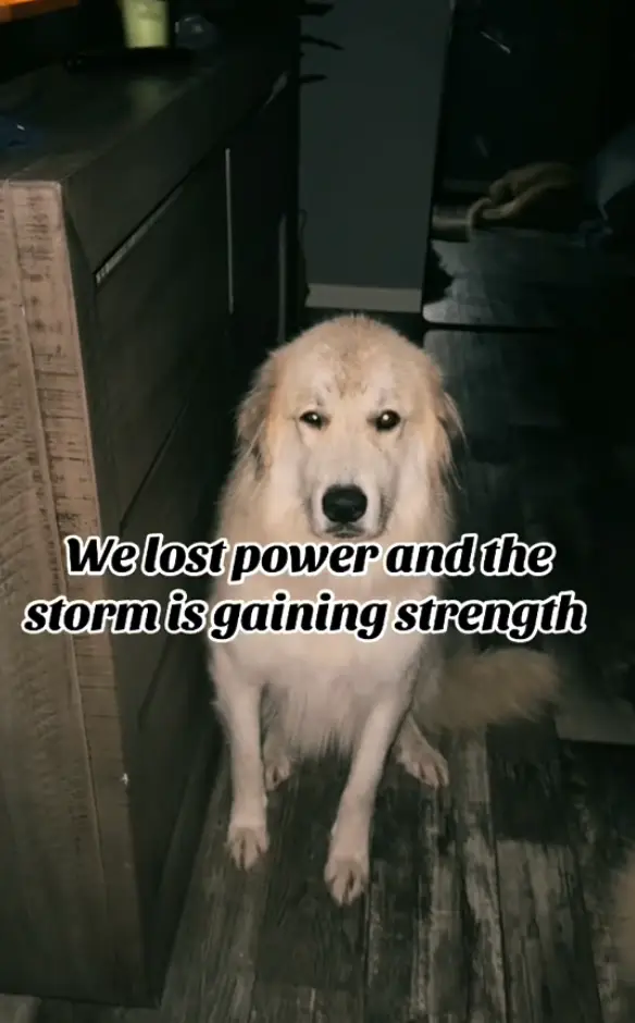 The farmer revealed they had completely 'lost power' during the storm (TikTok/@oursimplehomestead)