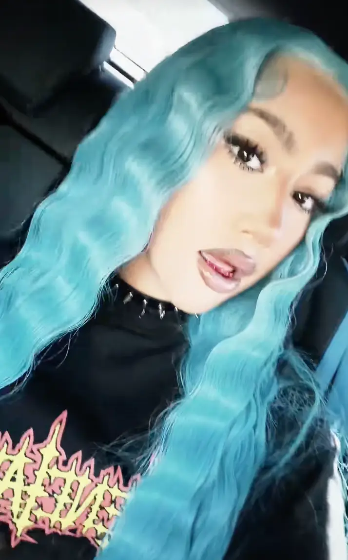 Fans rushed in to defend North following her appearance at Coachella (TikTok/@kimandnorth)