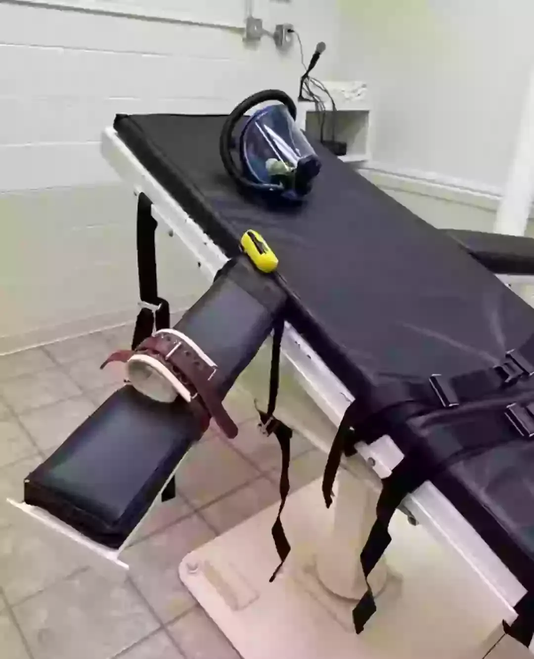 The execution method using nitrogen gas was formerly banned for use on animals (Louisiana State Court)