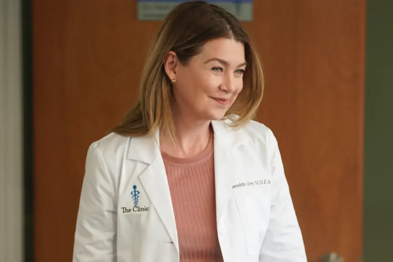 Ellen Pompeo as Meredith Grey (ABC)