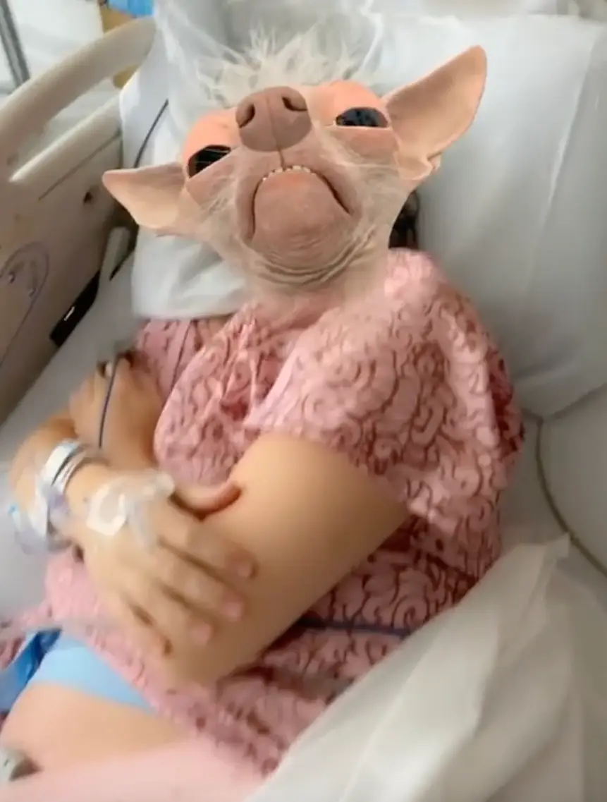 People were divided over the prank.