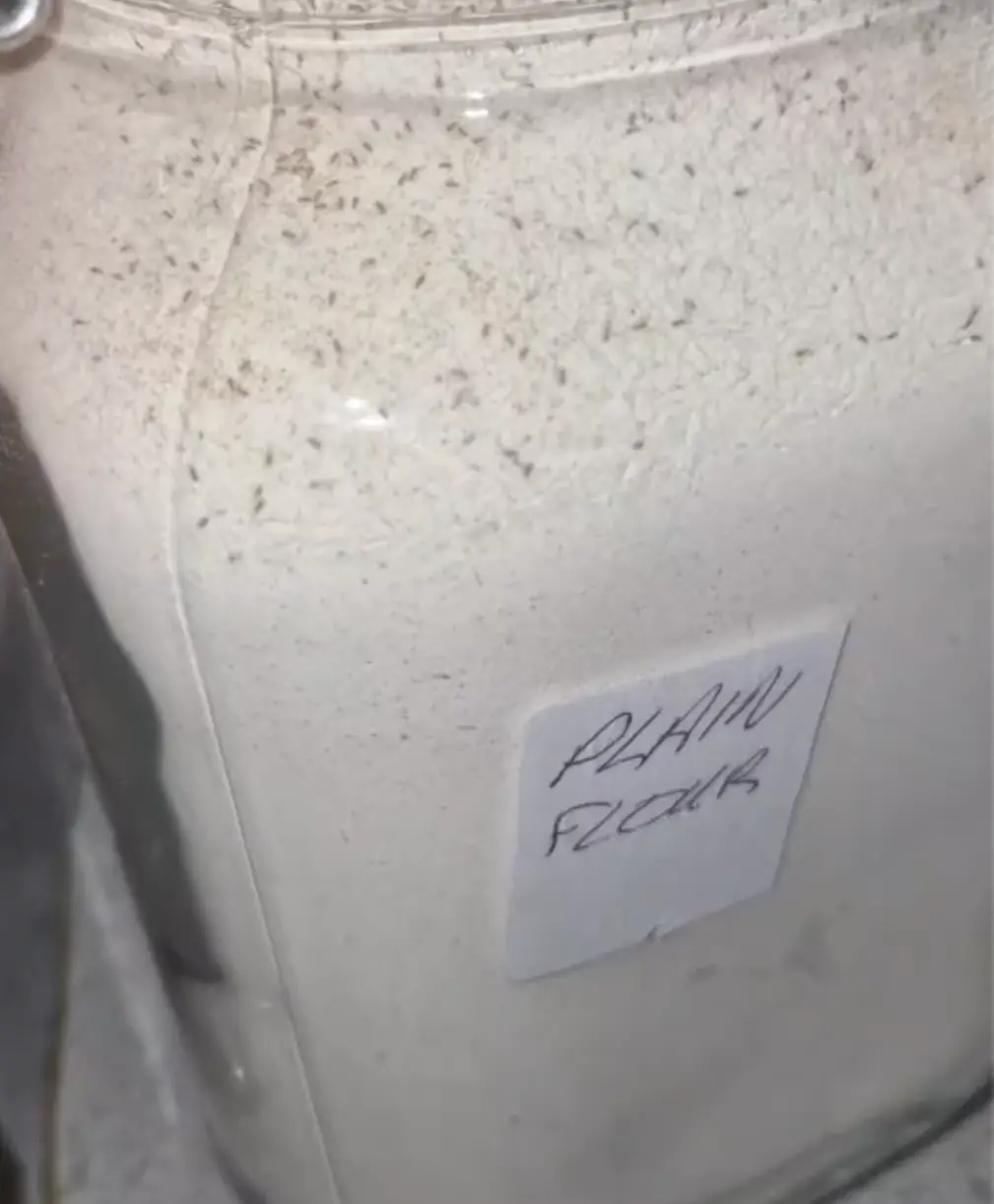 That doesn't look reassuring.