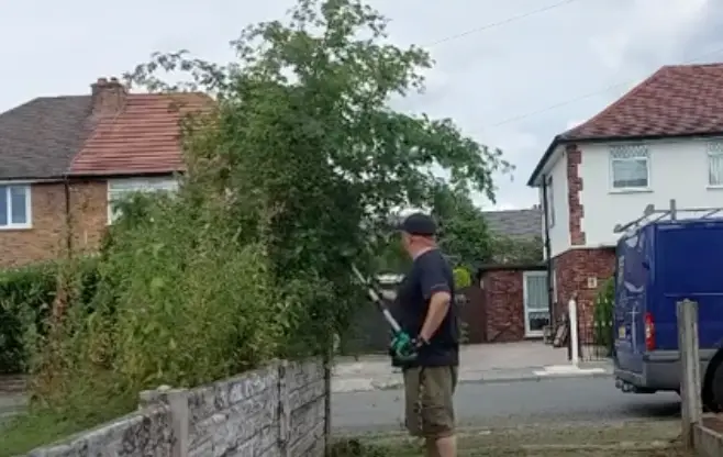 The gardener quickly got rid of the overhanging branches.