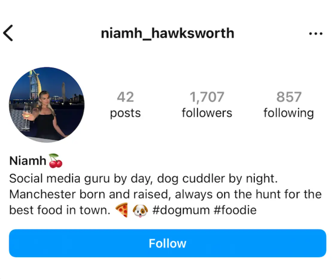 A prime example of what a Millennial bio looks like (Tyla)