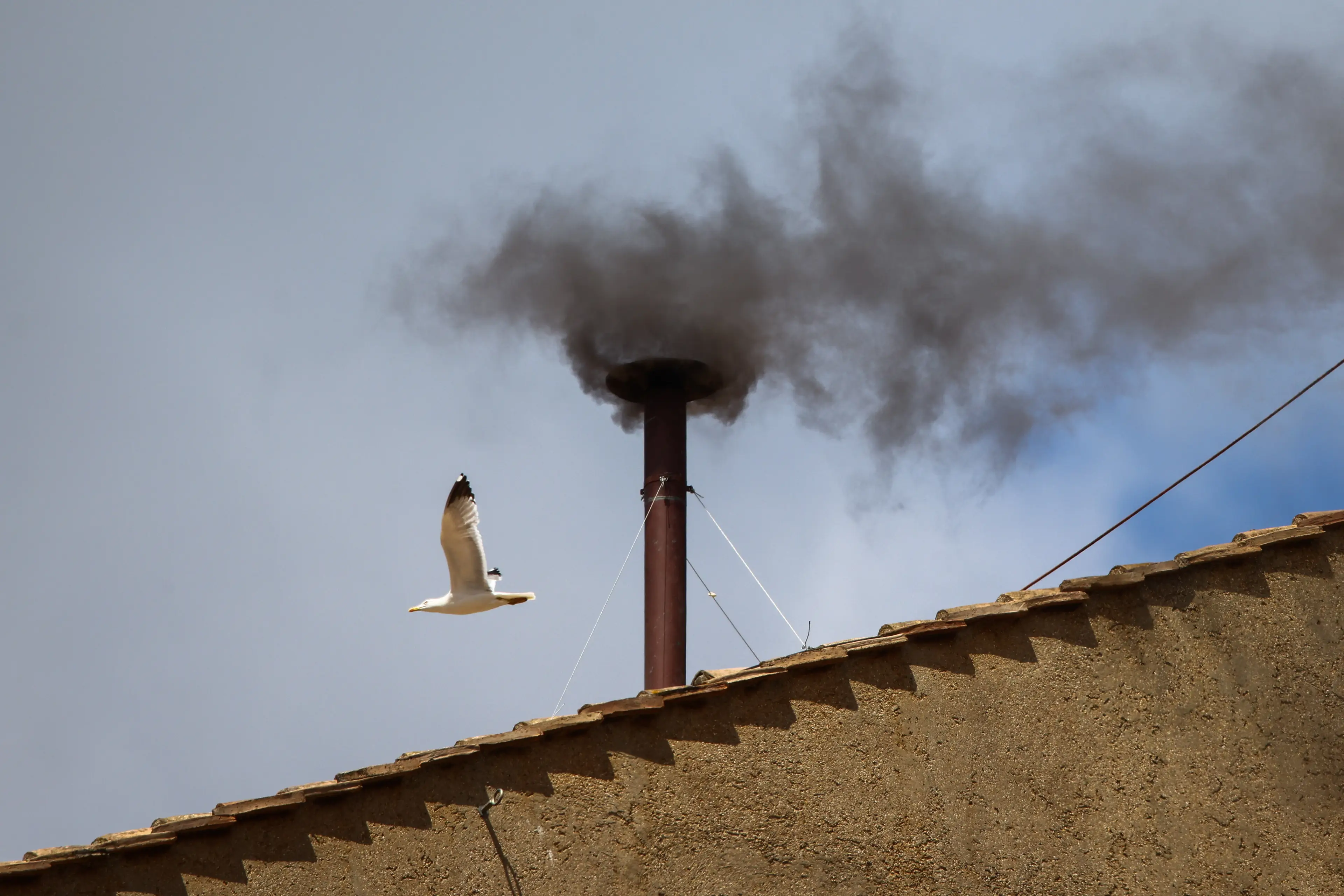 (Beata Zawrzel/NurPhoto via Getty Images)