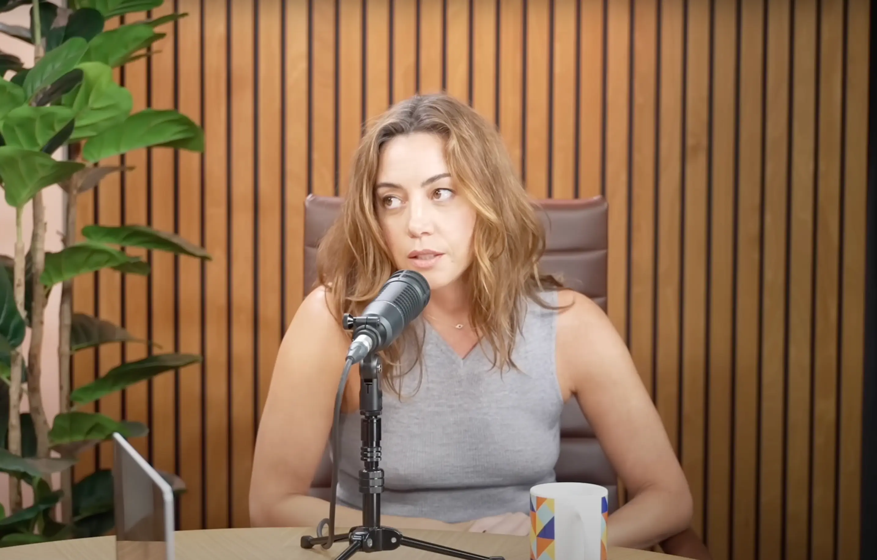 Plaza opened up about her grief (YouTube/Good Hang with Amy Poehler)