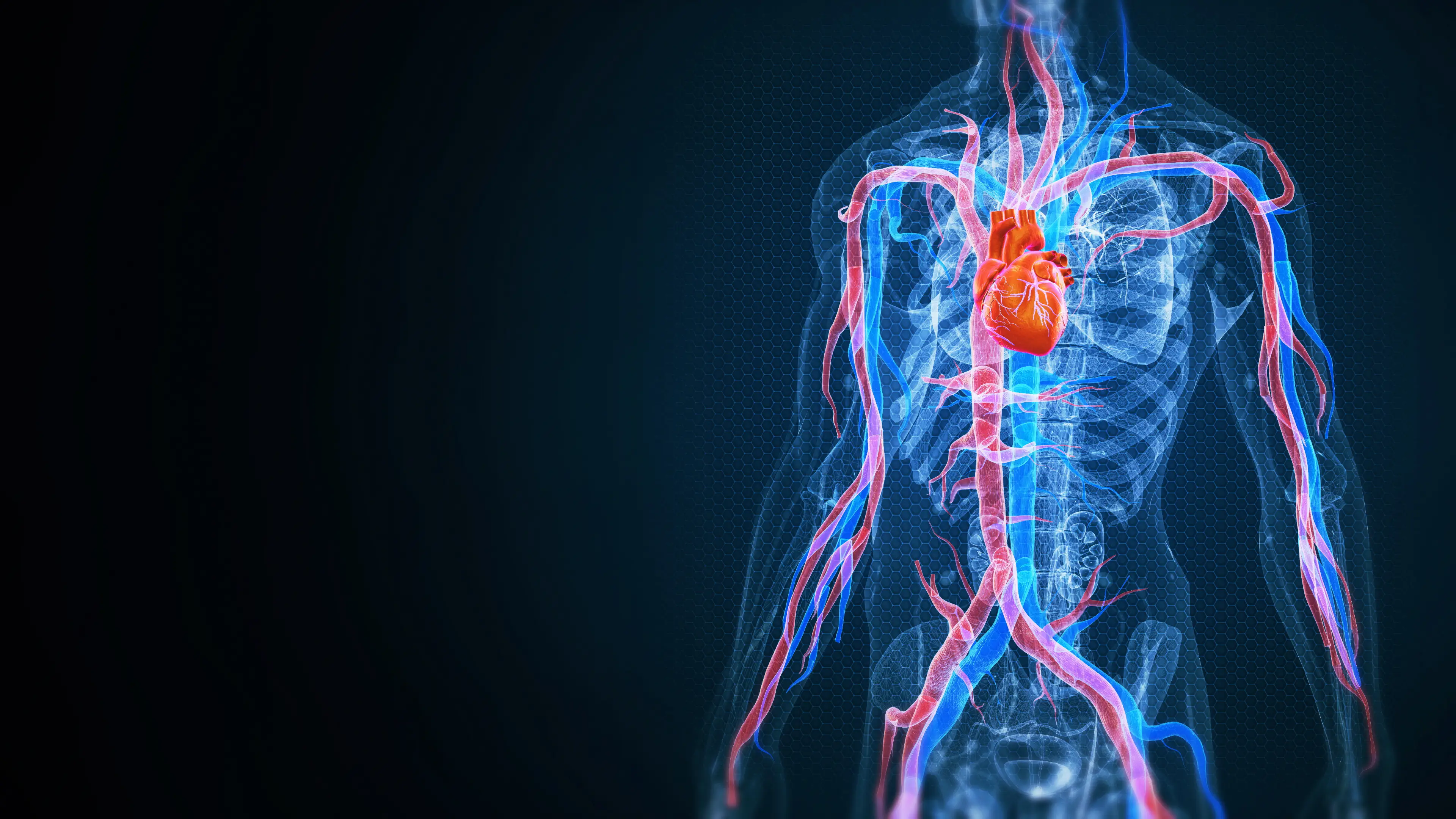 Evidence suggests GLP-1 drugs may reduce the risk of heart disease (Getty Stock Image)