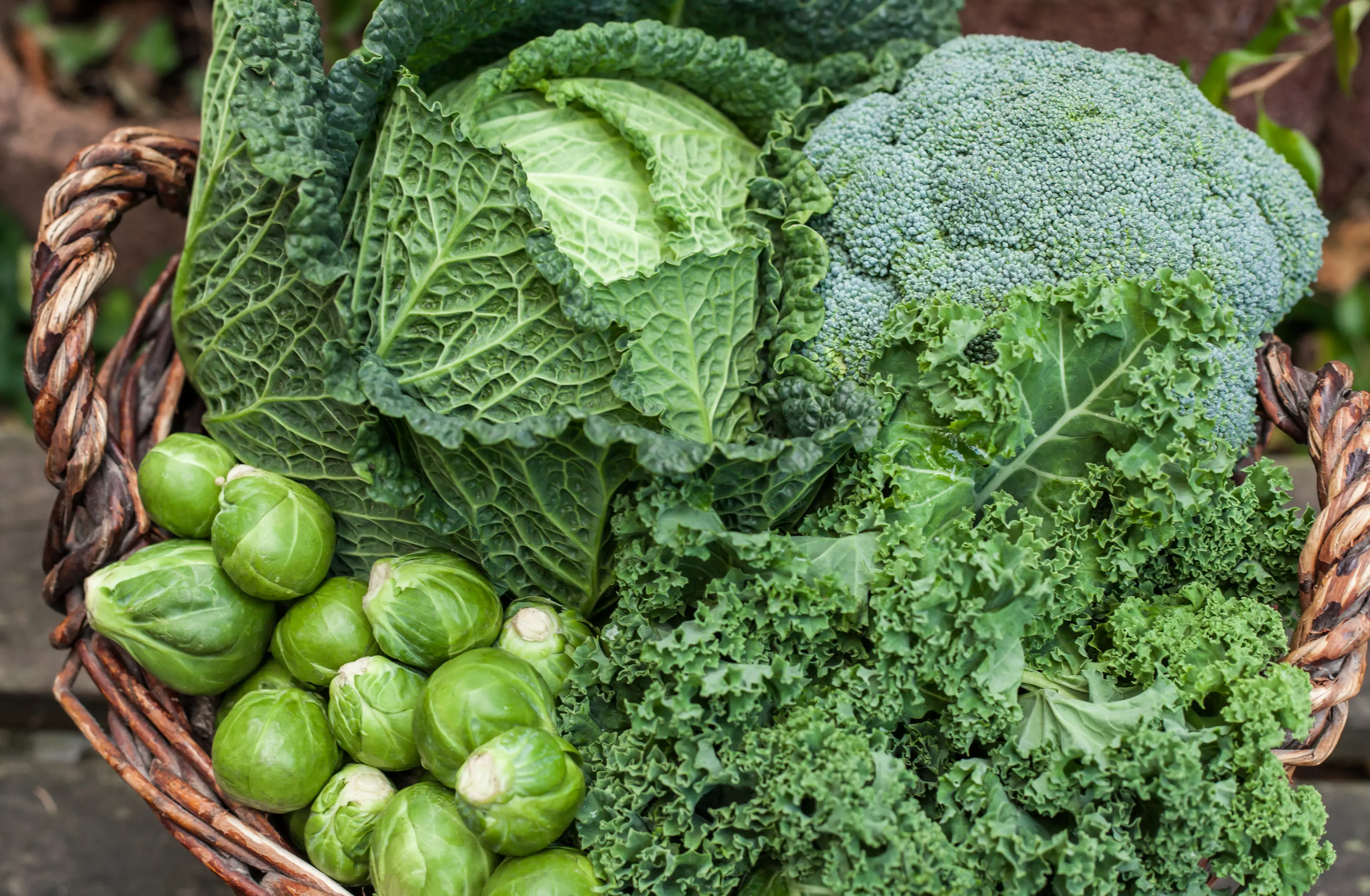 Dr McLean warned that cruciferous vegetables can have a similar affect (Getty Stock Images)