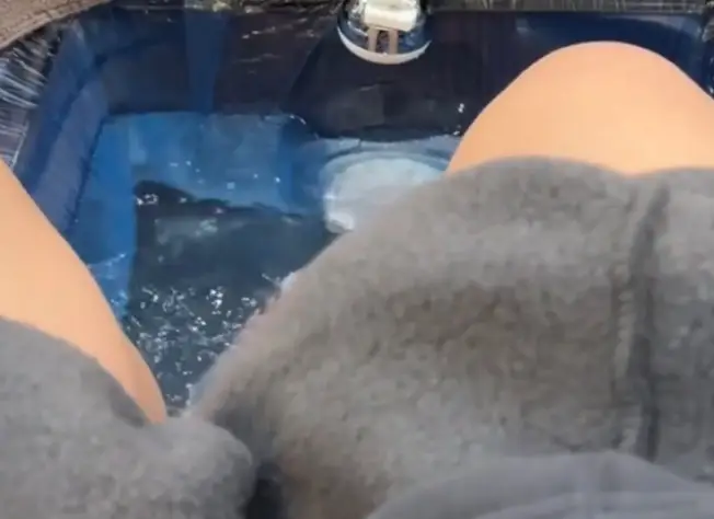 Others said they would simply 'leave'. (TikTok / @‌halesdorio)