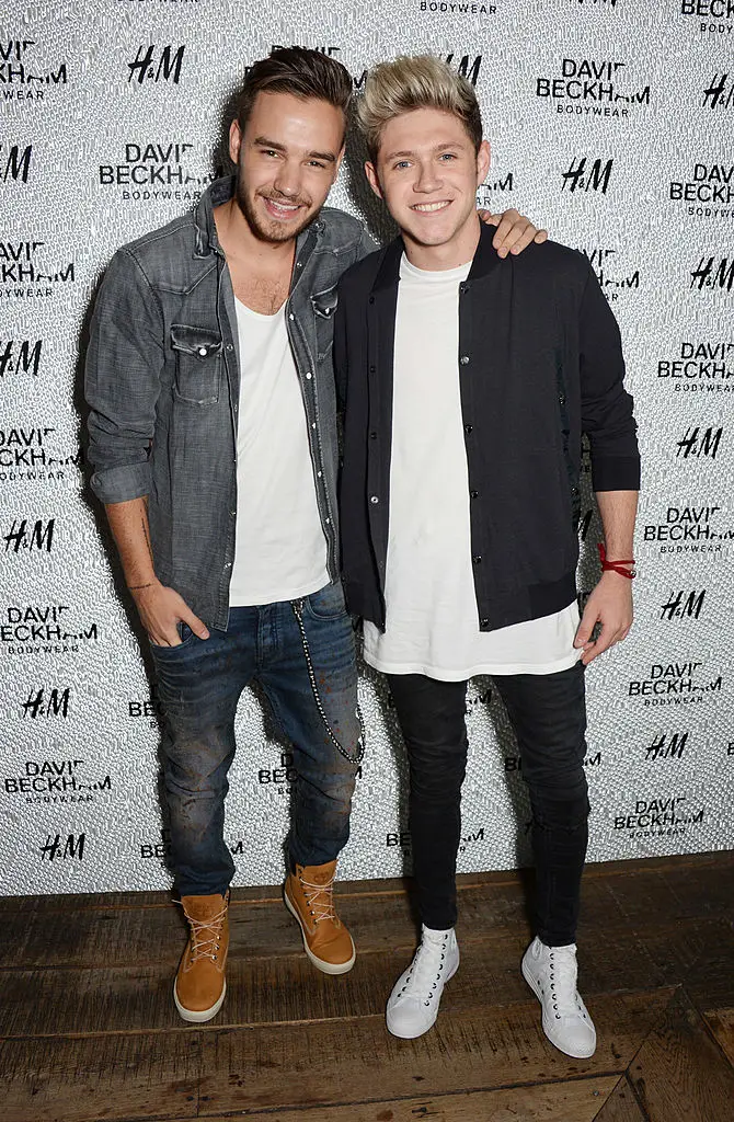 Horan has written a song about Payne (David M. Benett/Getty Images for H&M)