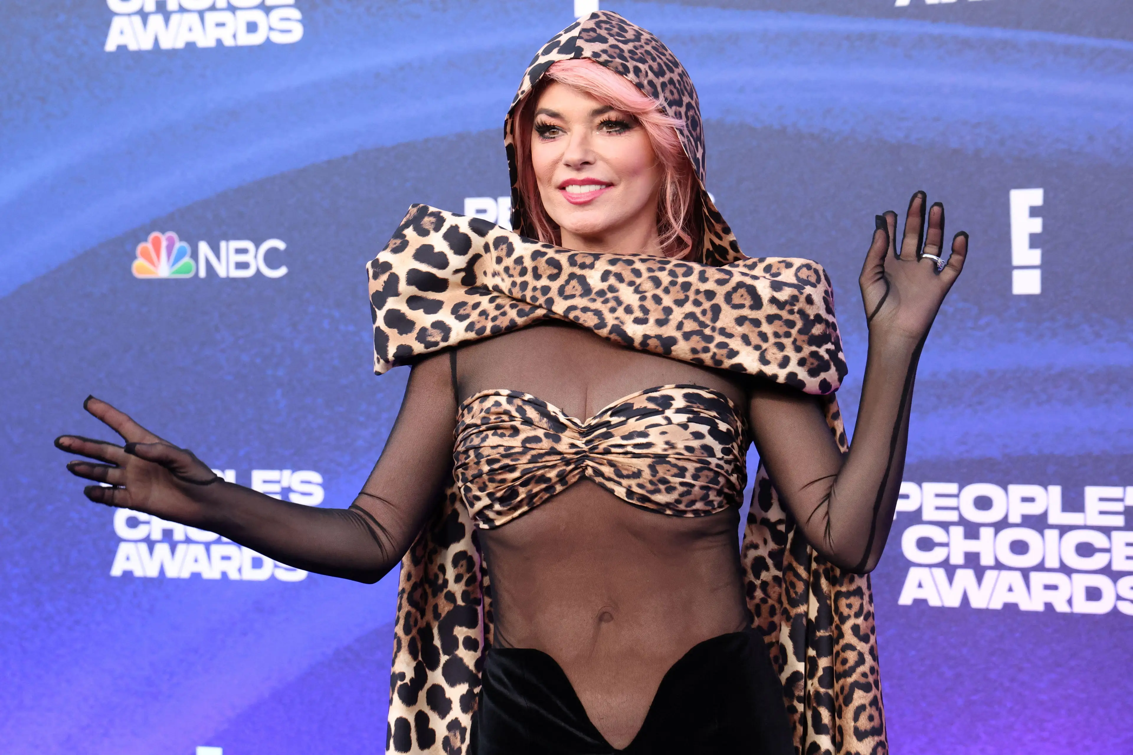 Shania Twain included Brad Pitt in the song's lyrics.