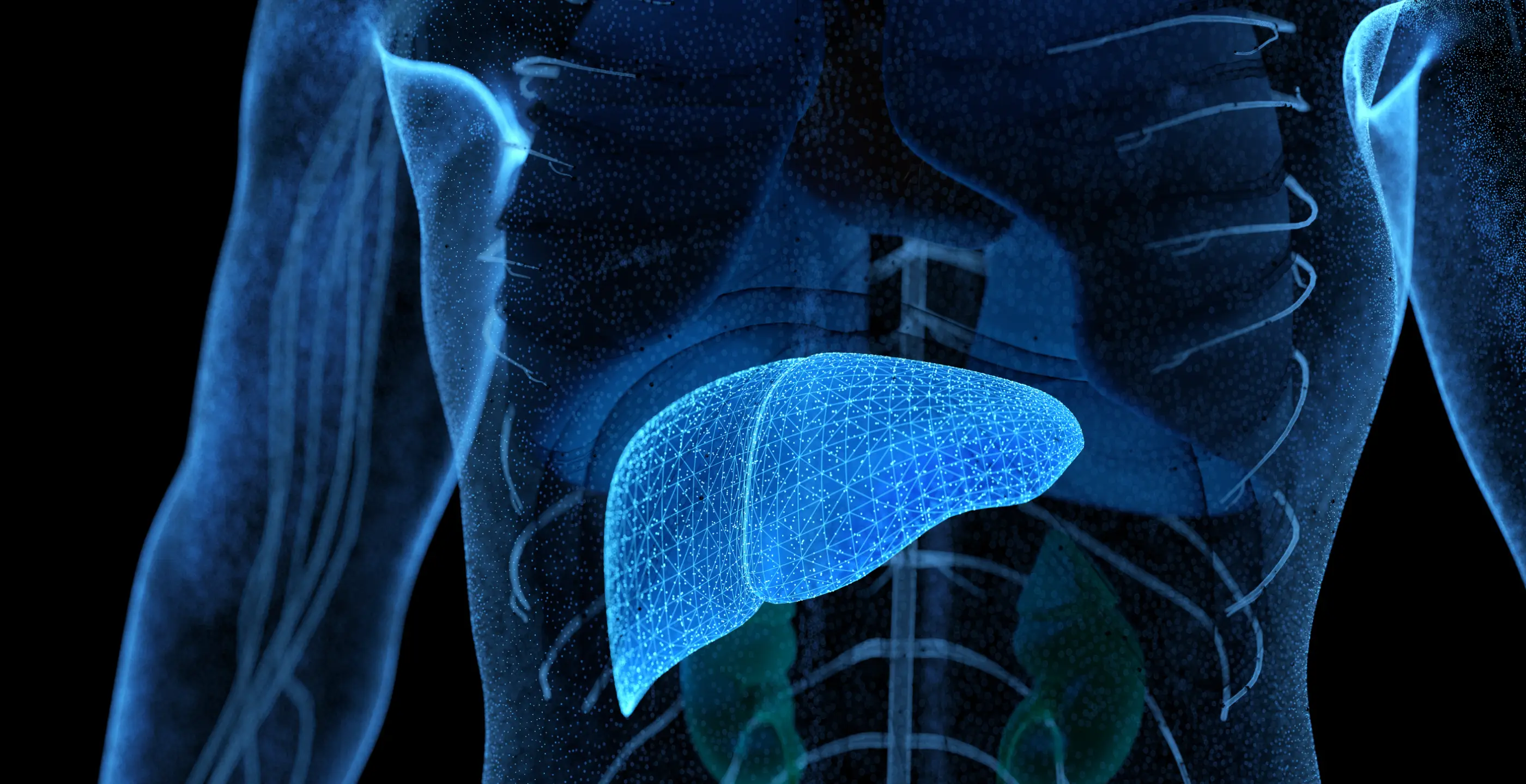 Scientists have issued a warning over supplements as more people are suffering from liver damage (Getty Stock Image)