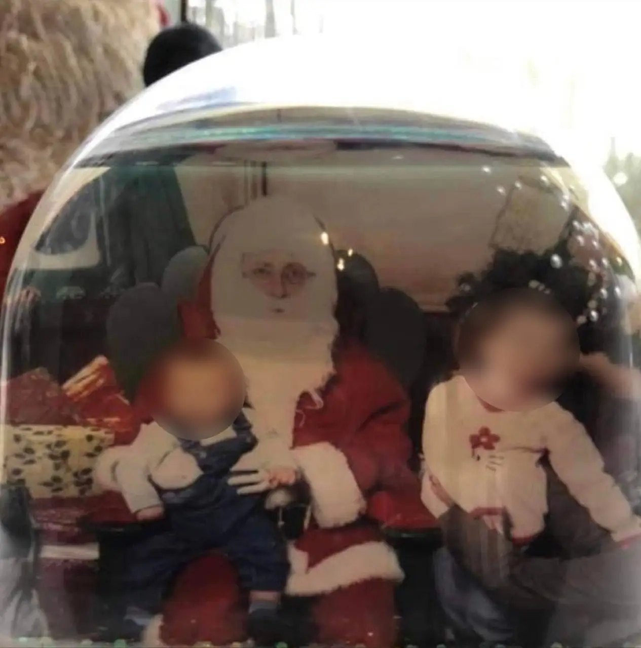 The 46-year-old rushed into the room to find Milo and seven-year-old rescue dog Lexi slurping up the snow globe liquid.