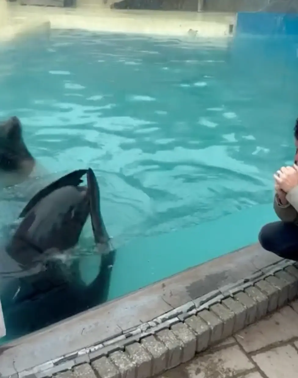 Bounty was a little embarrassed.