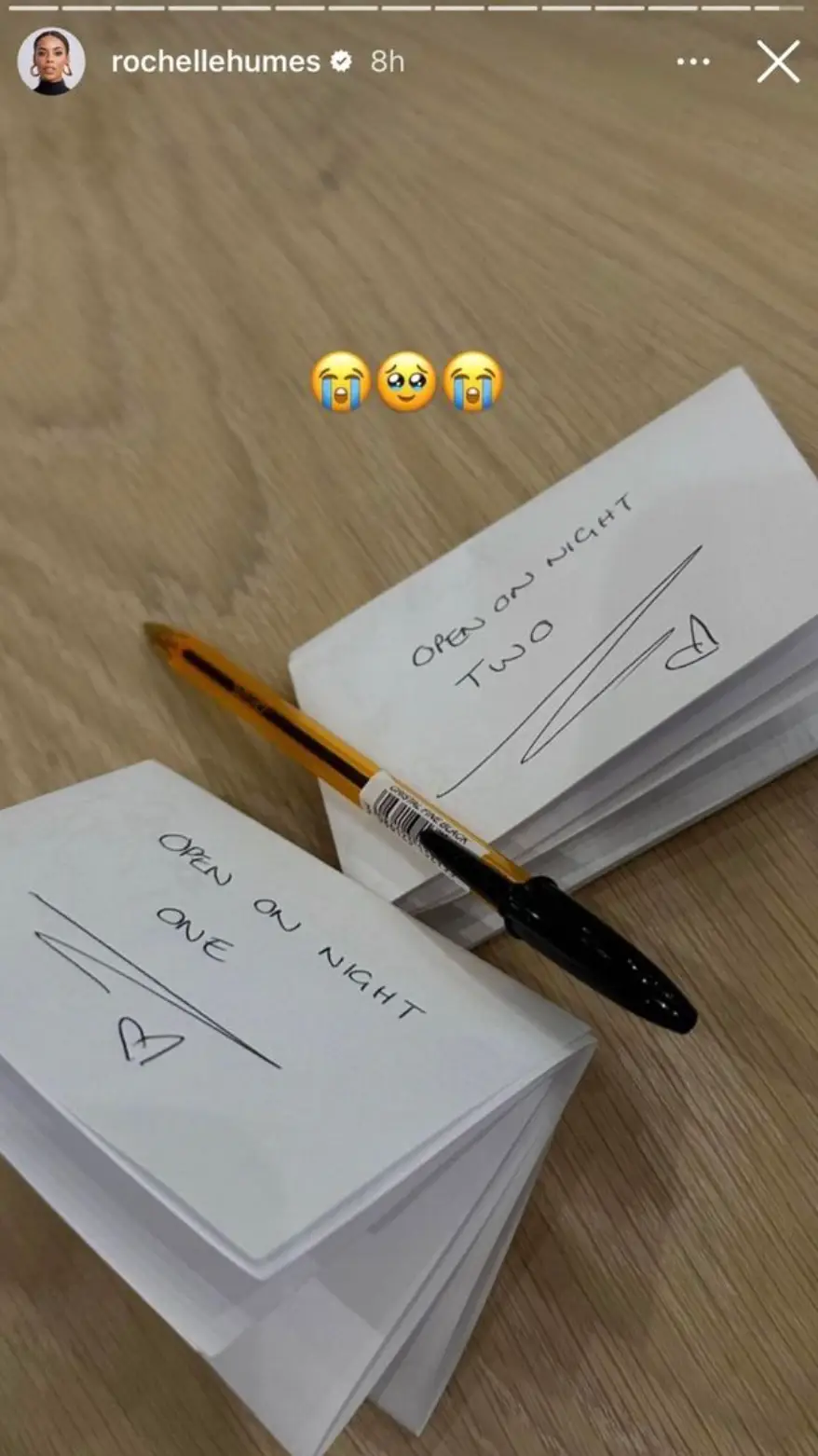 Rochelle packed some handwritten notes in Alaia's case.