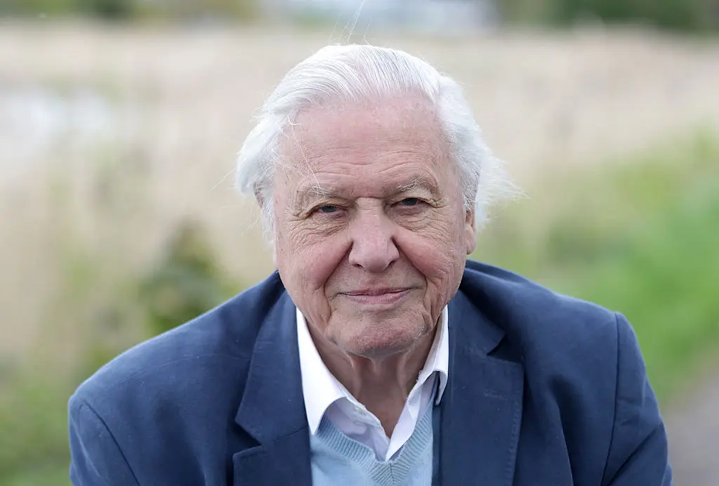 Attenborough has spoken about nearing the 'end of life' (Danny Martindale/WireImage)