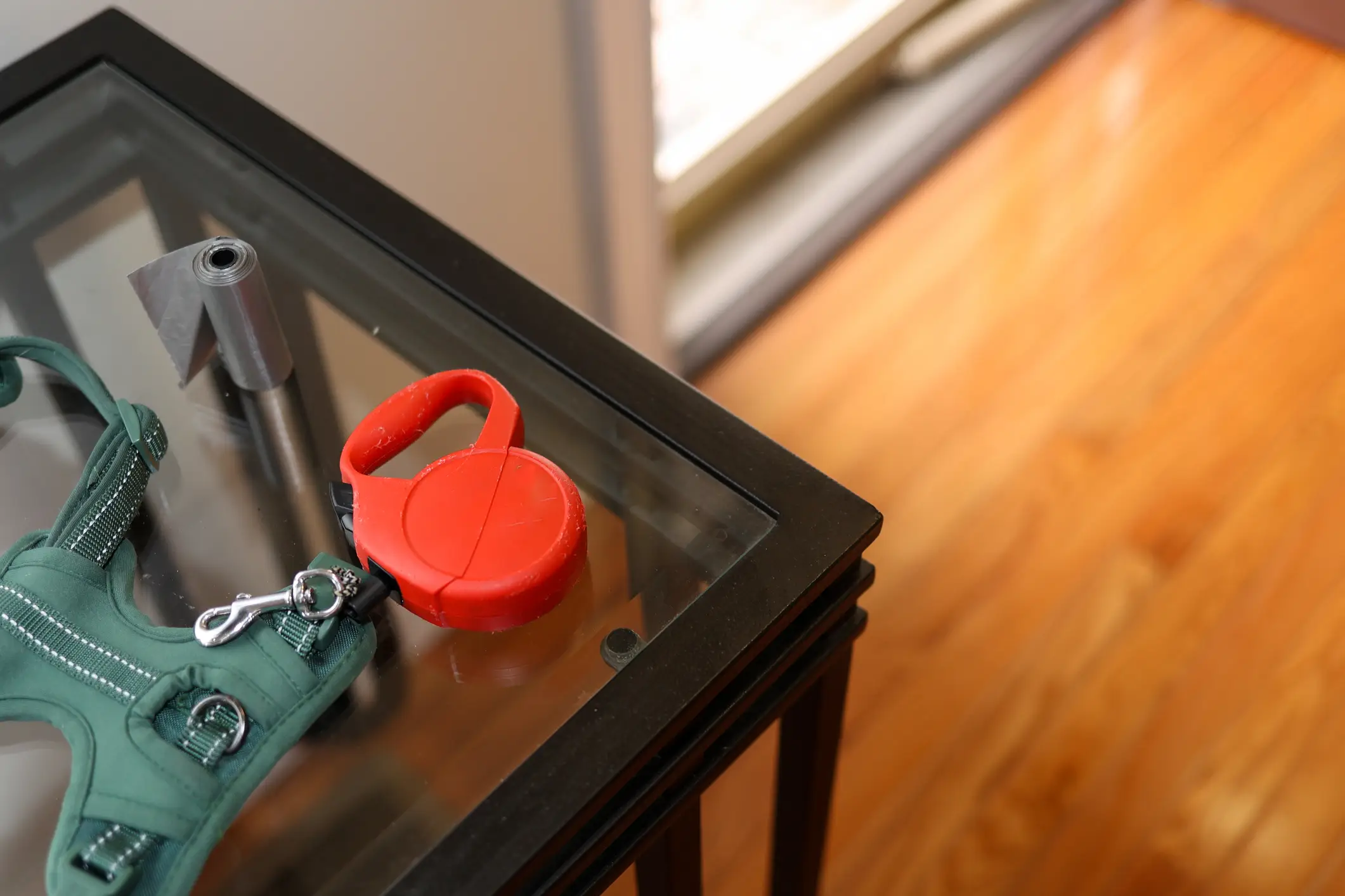 The Macdonald Triad points to animal cruelty as a major warning sign (Robin Gentry / Getty Images)