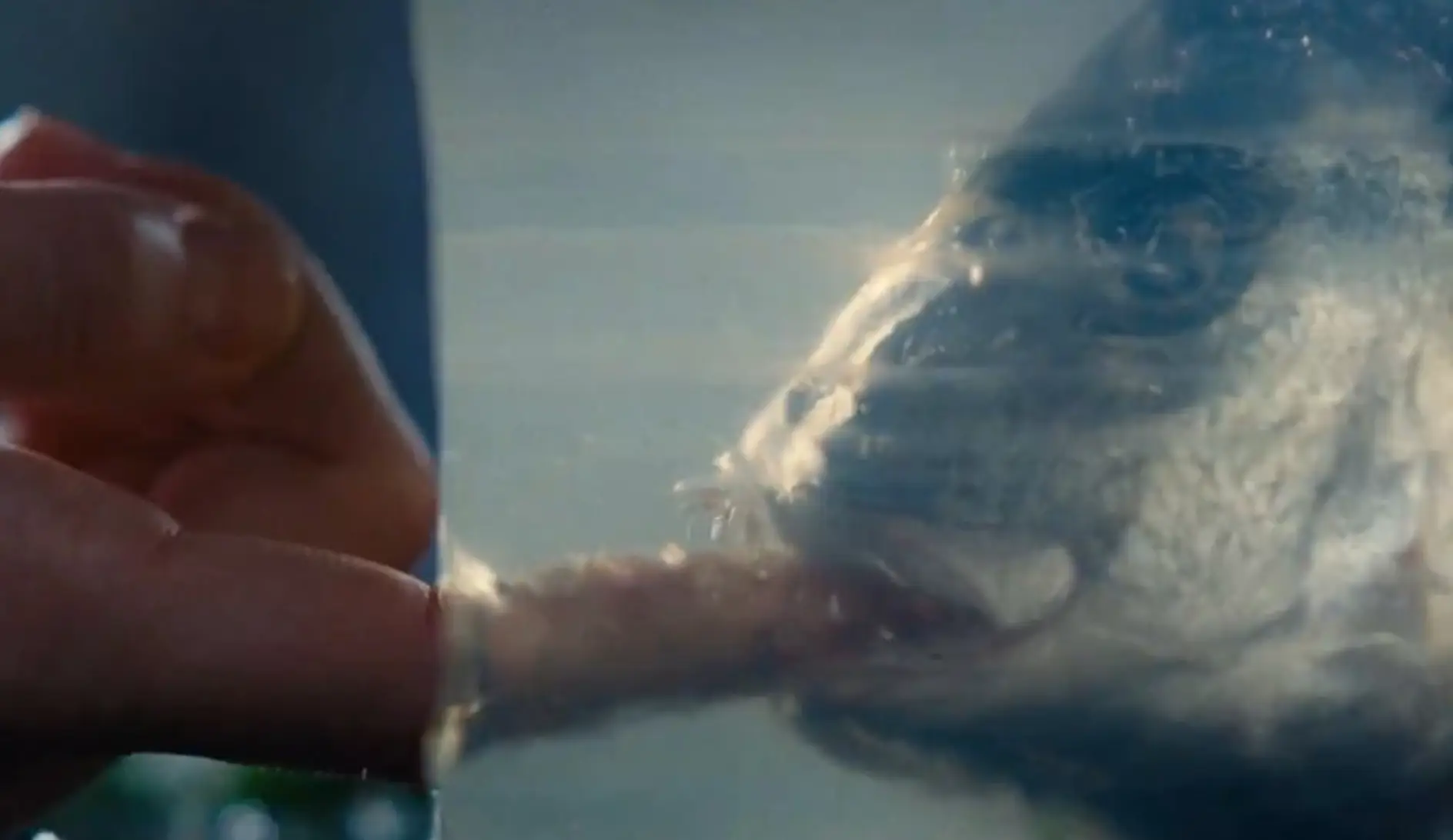 Fans were particularly perplexed by the bizarre fish scene... (Warner Bros.)