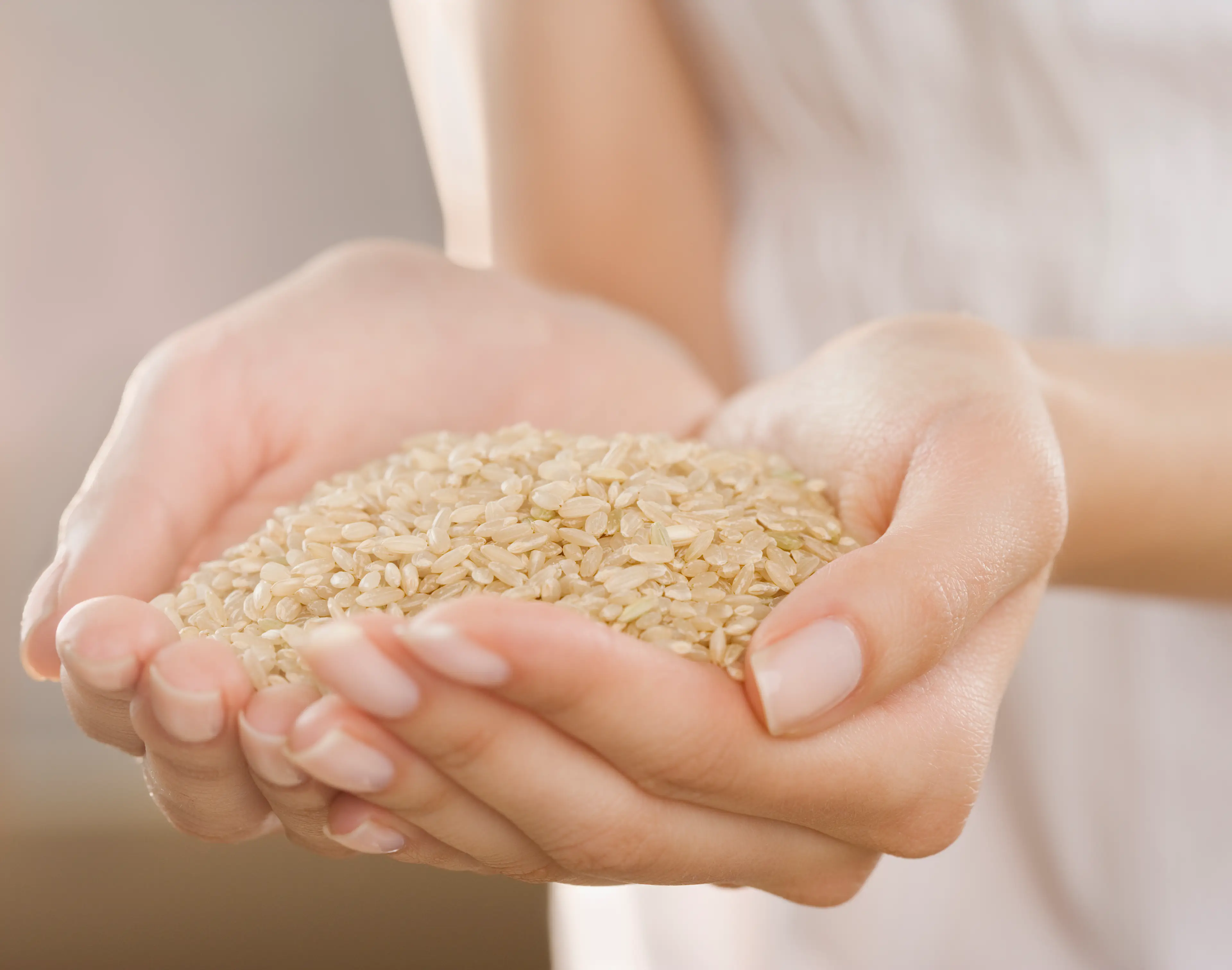 Rice is thought to take in 10-20 times more arsenic than other cereal crops (Jamie Grill/Getty Images)