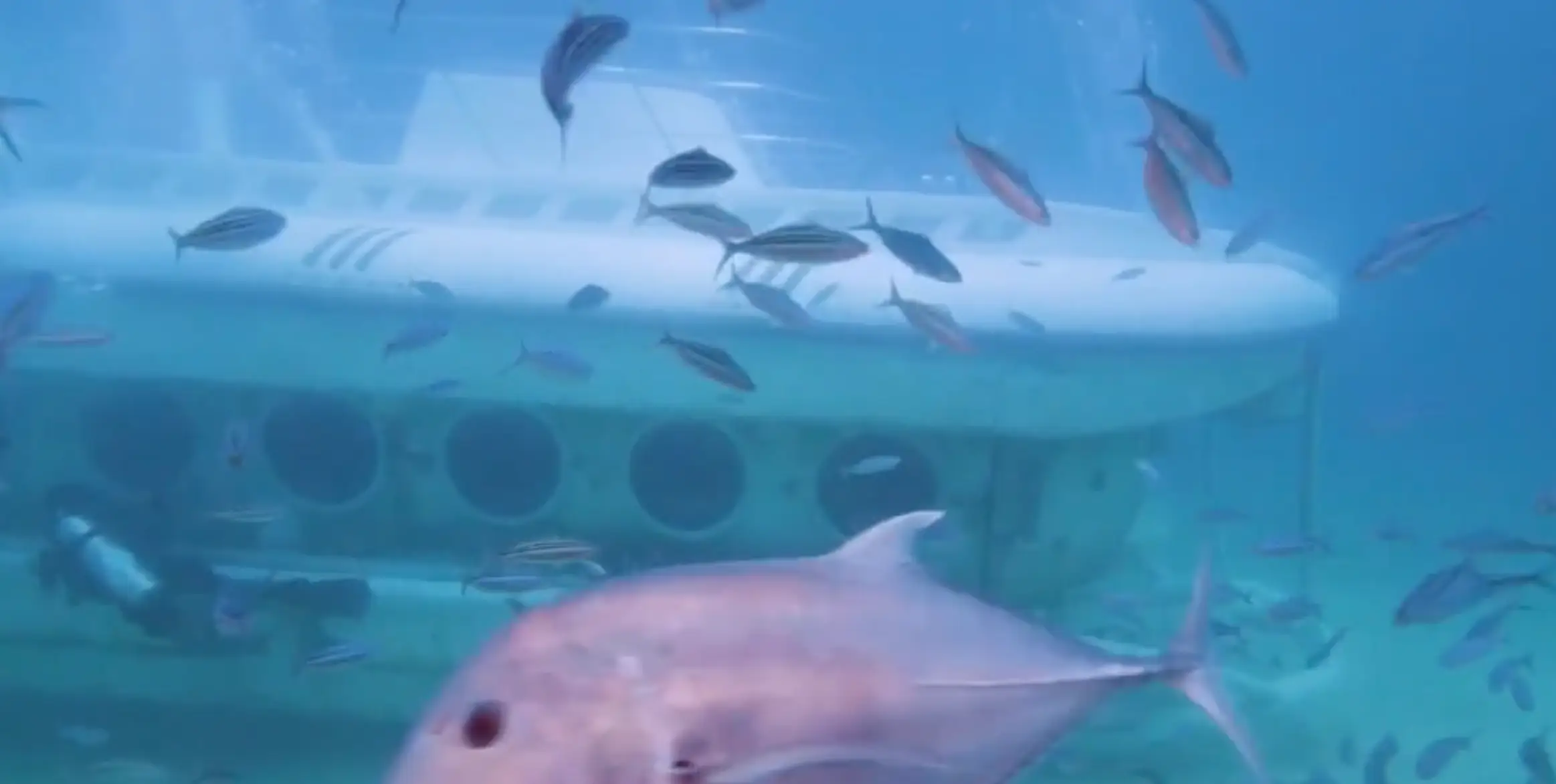 Six people have confirmed to have died (Sindbad Submarines)